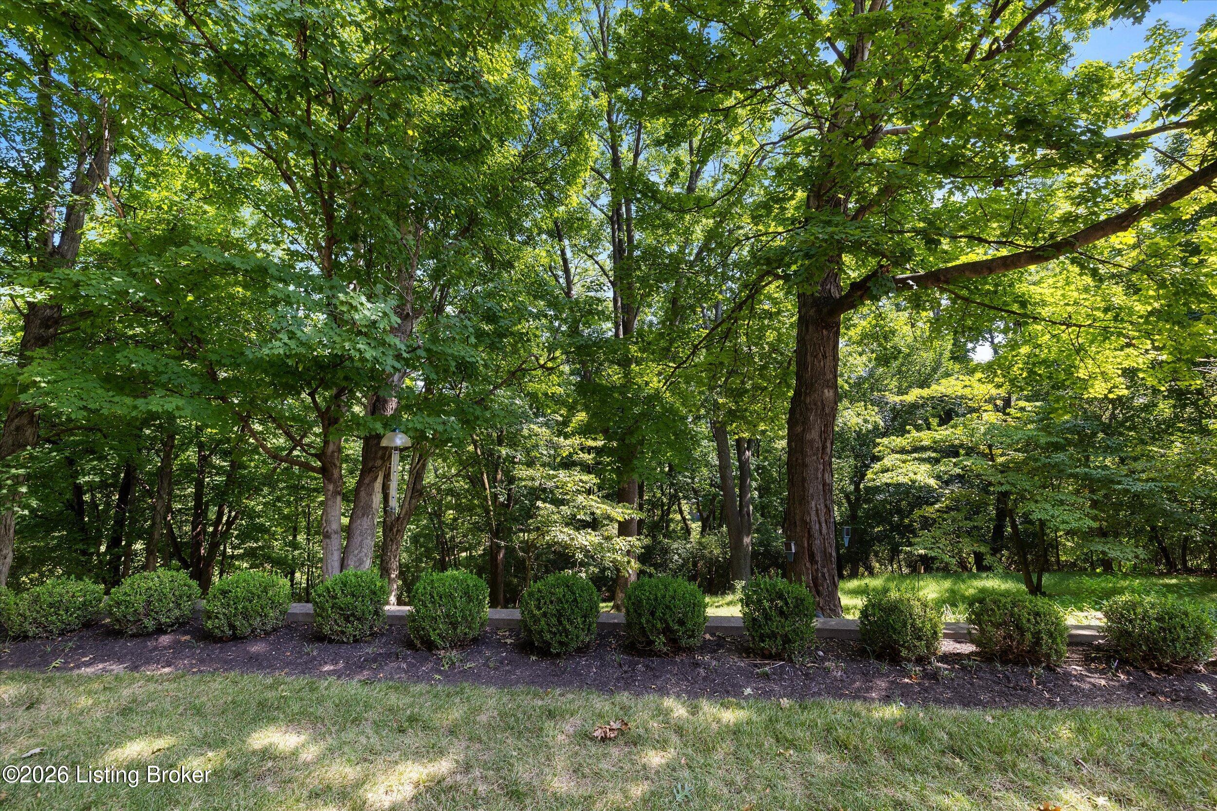 6709 Tallwood Ct Property Photo 56