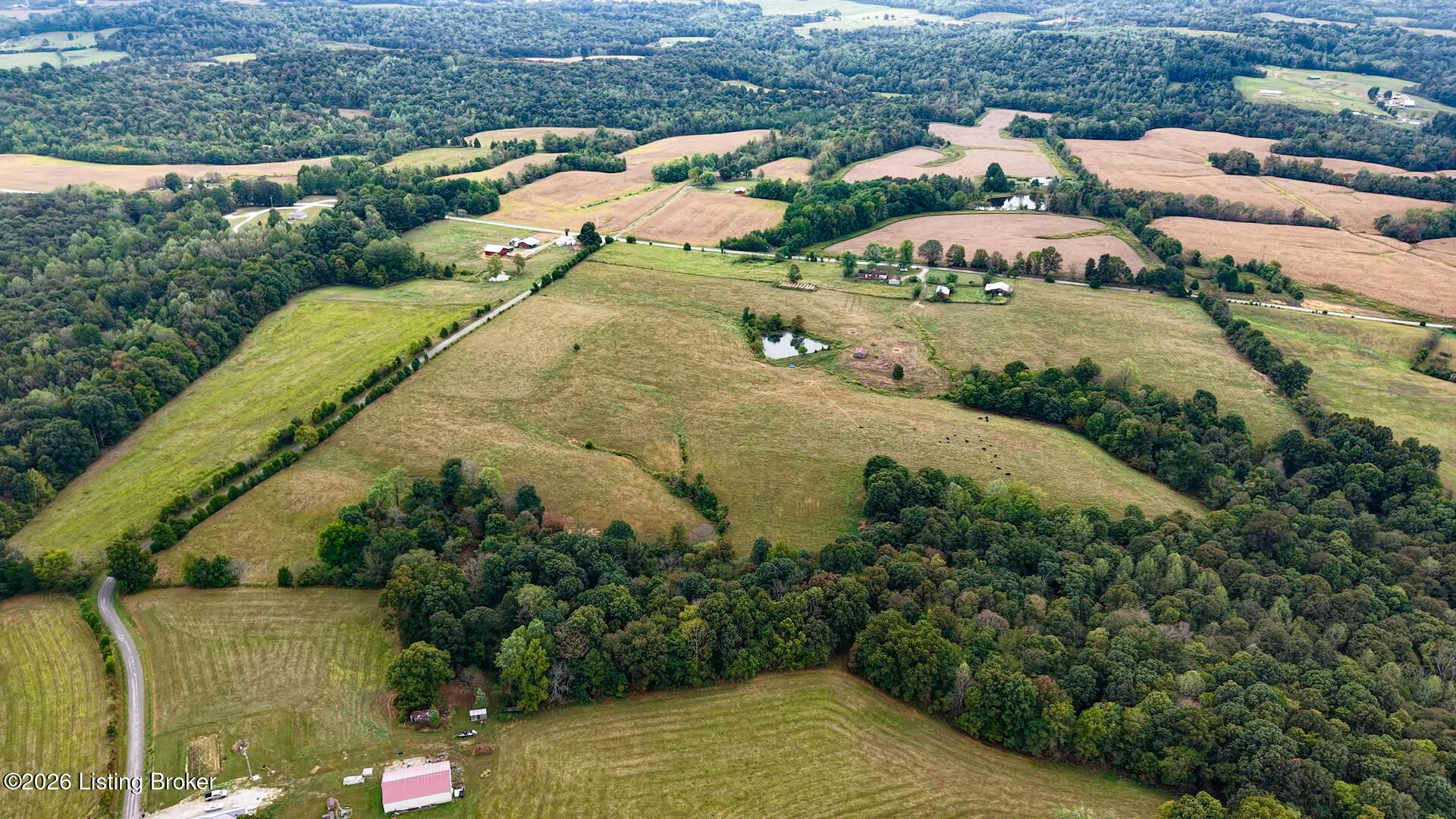 2924 Caney Creek Rd Property Photo 6