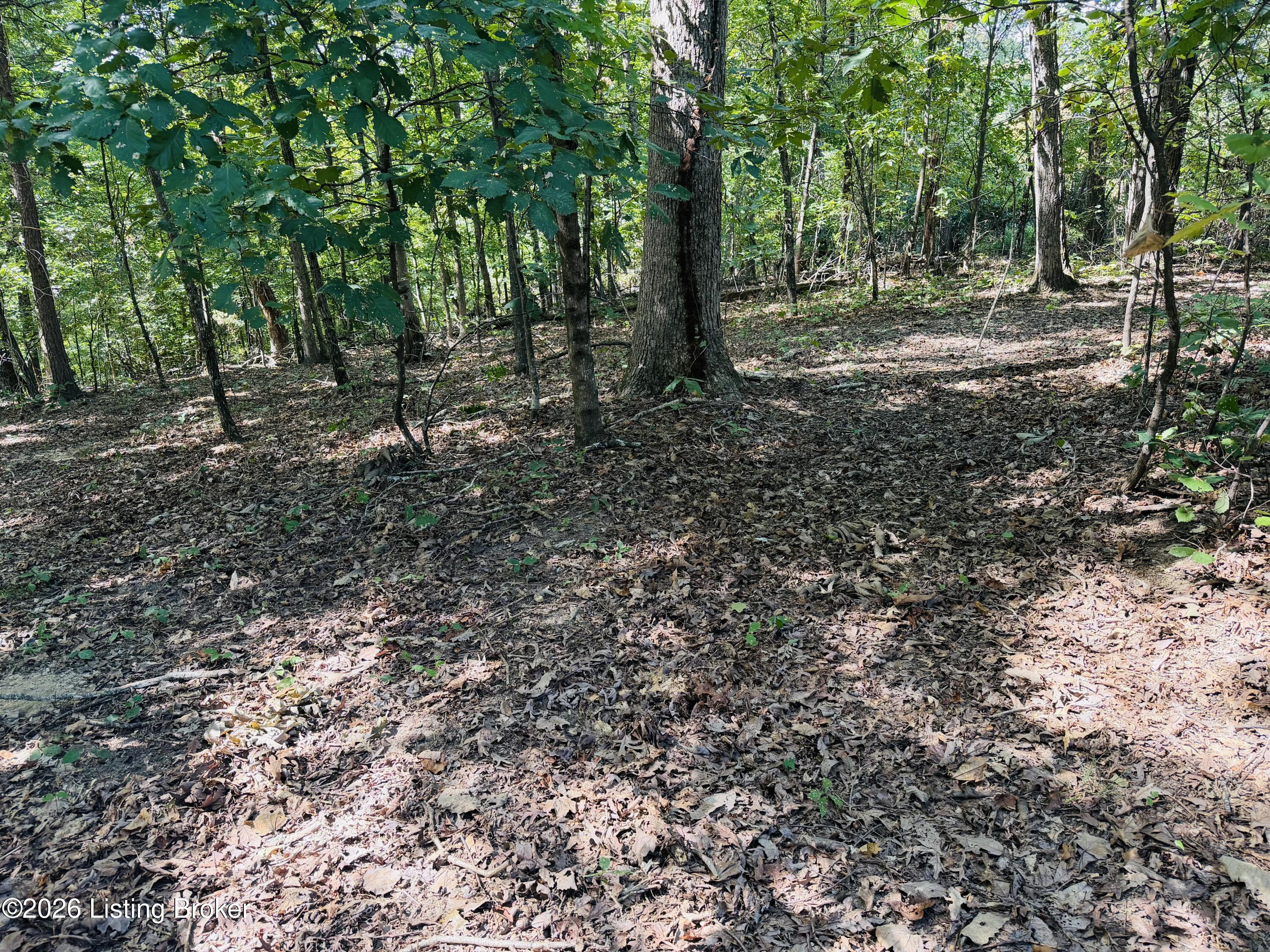 Lot 52 Rams Run Property Photo 1