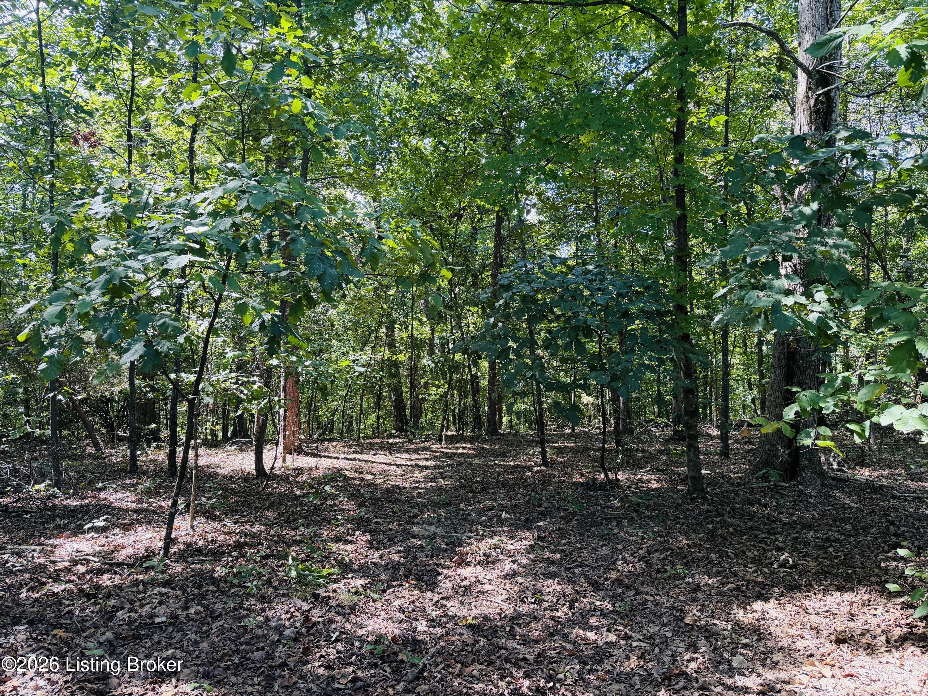 Lot 53 Rams Run Property Photo 1