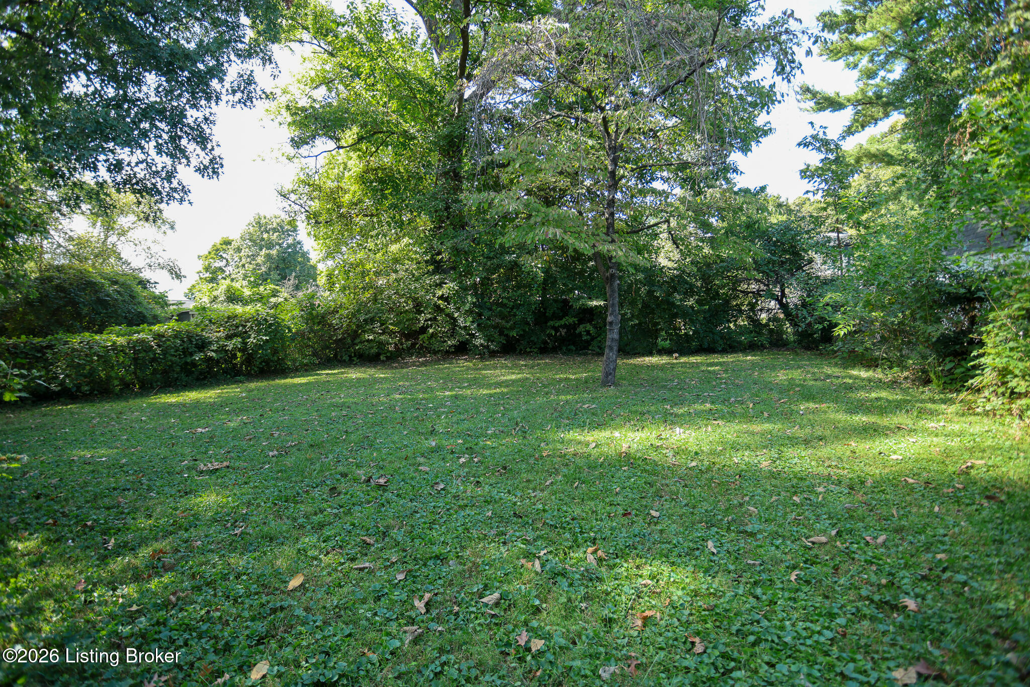 2221 Beargrass Ave Property Photo 39