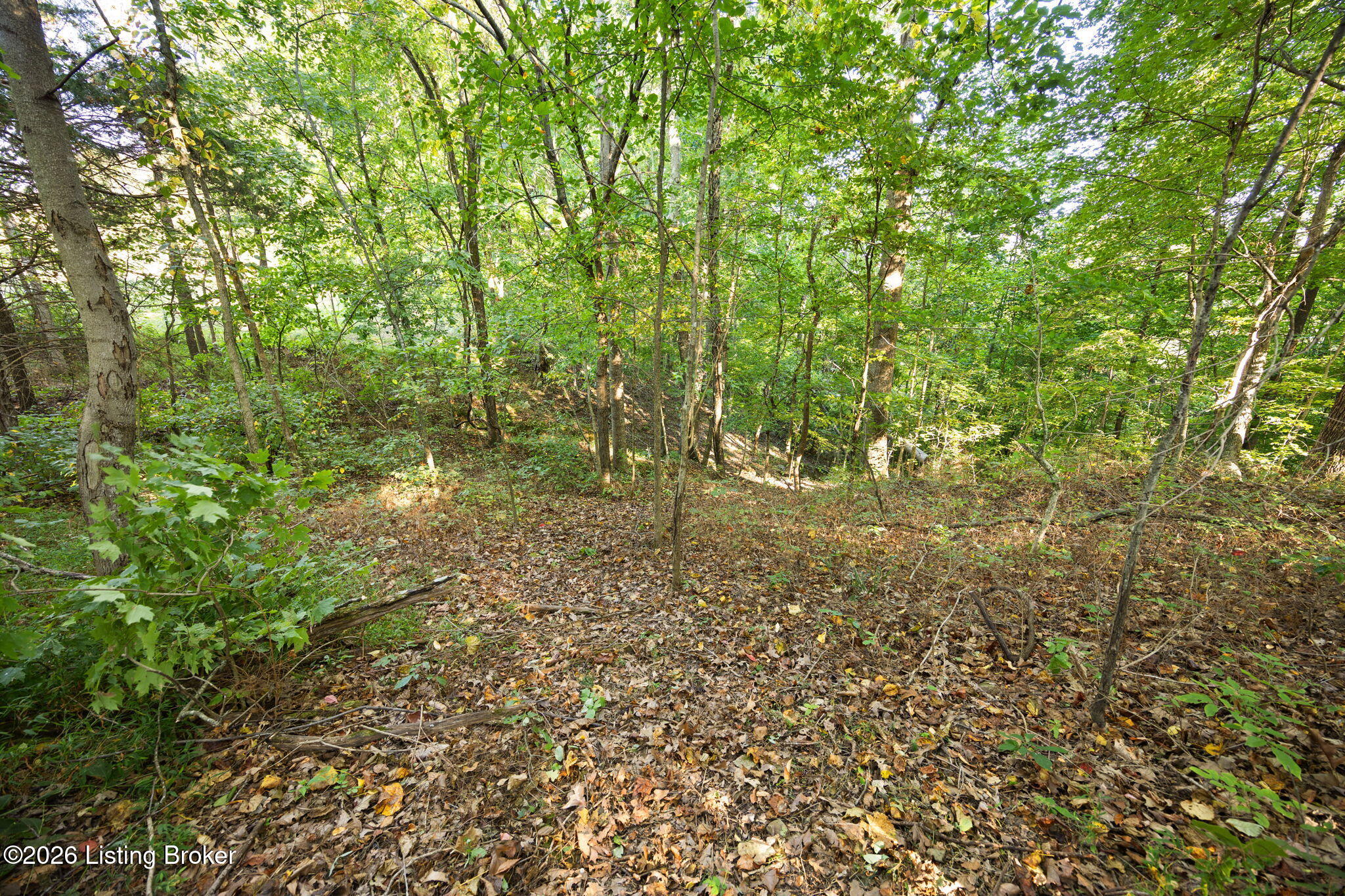 1185 Elliott Rd Property Photo 33