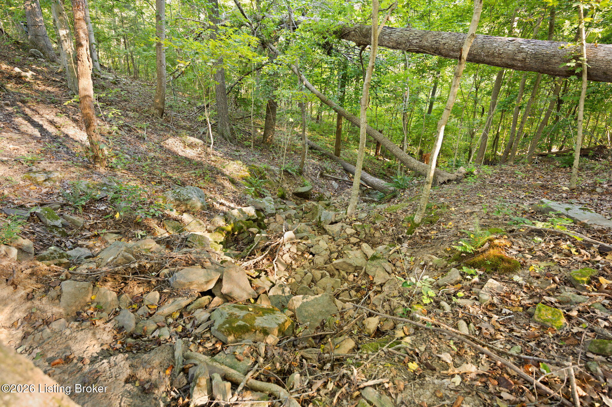 1185 Elliott Rd Property Photo 34