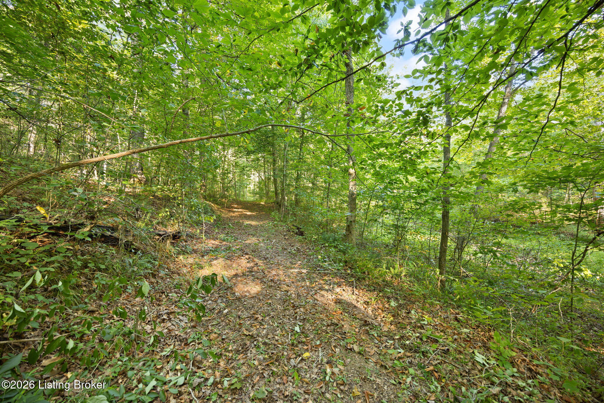 1185 Elliott Rd Property Photo 37