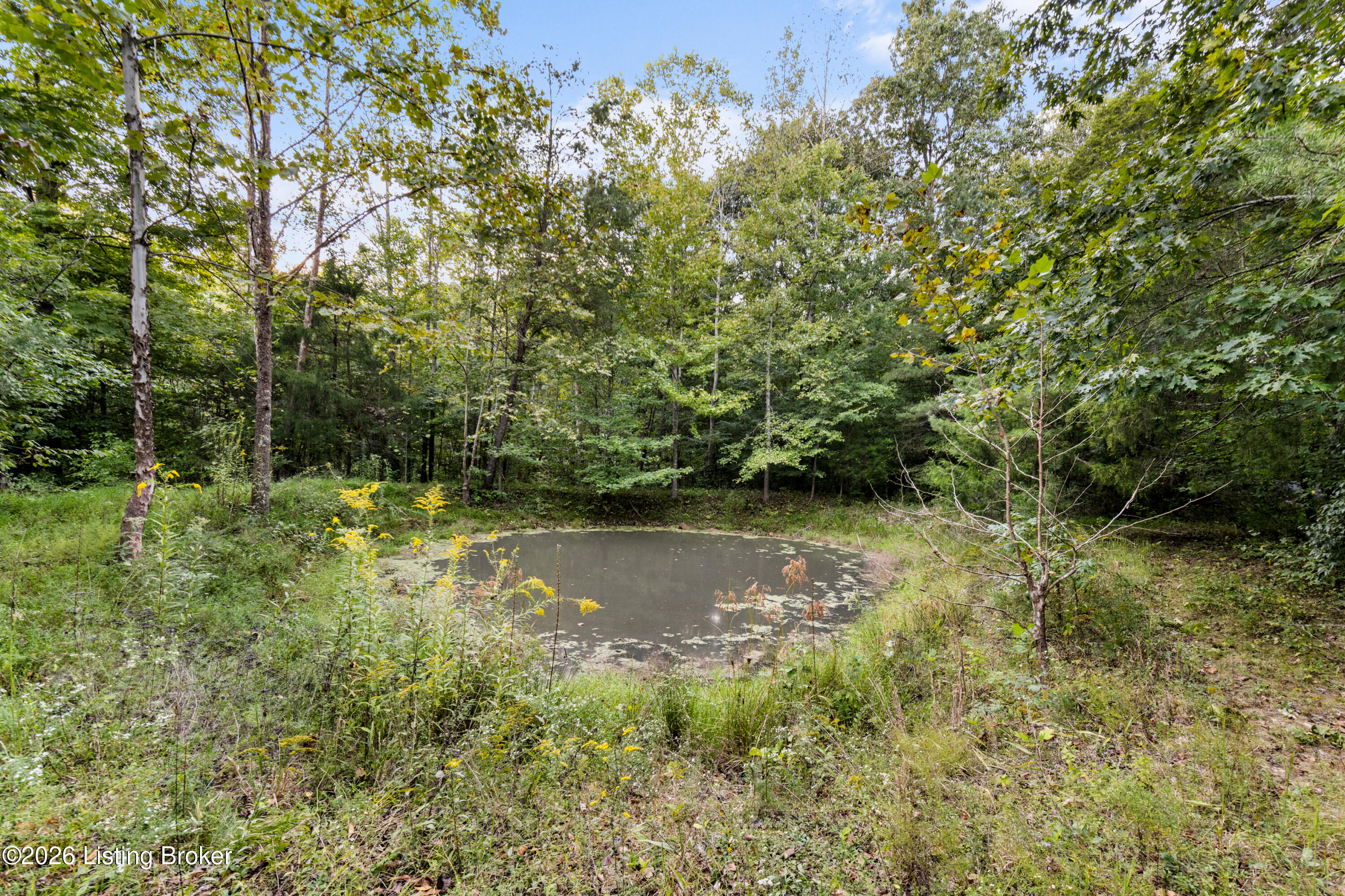1001 Homestead Valley Rd Property Photo 43