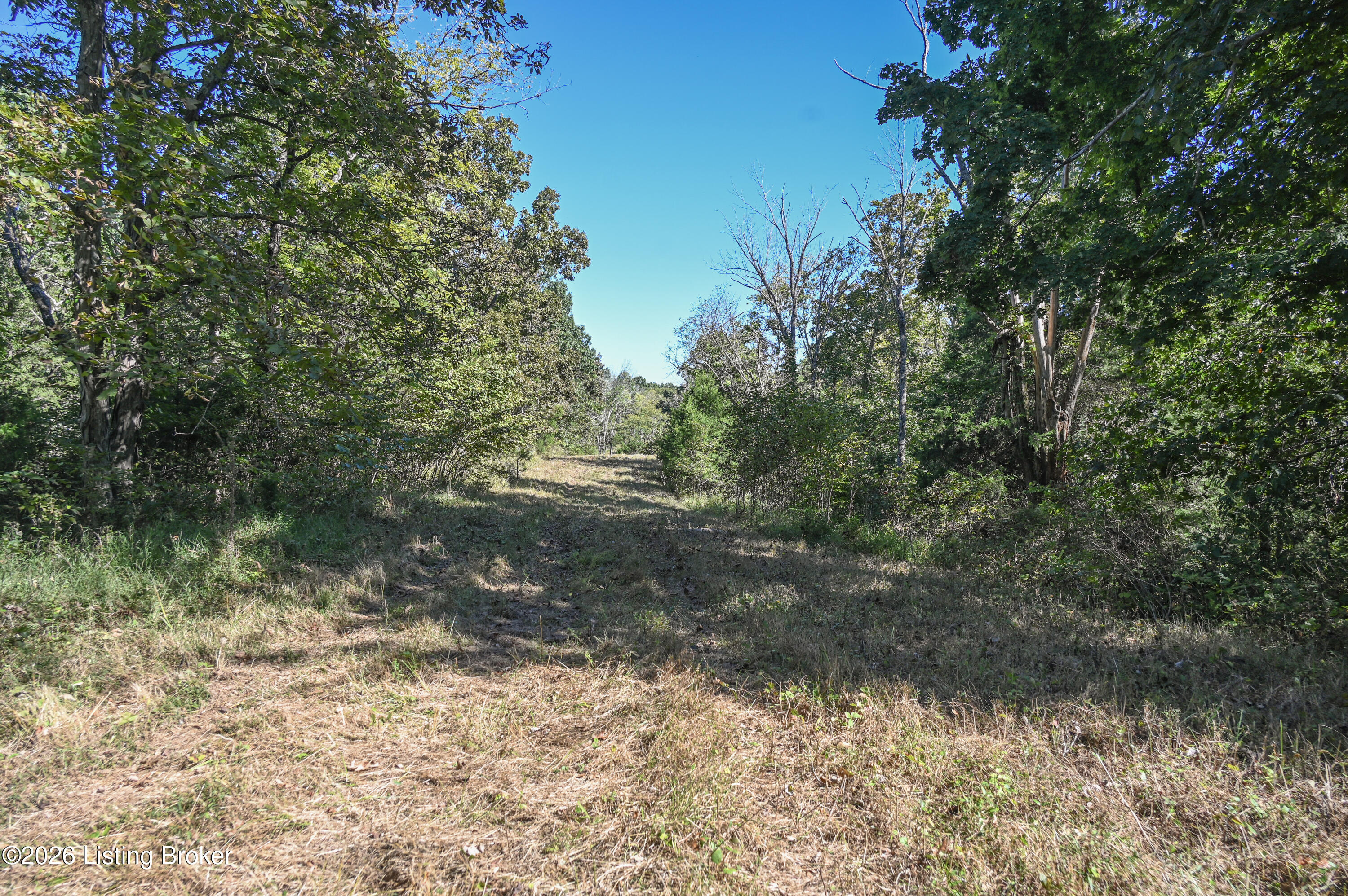 98 Namon Chesser Ln Property Photo 9