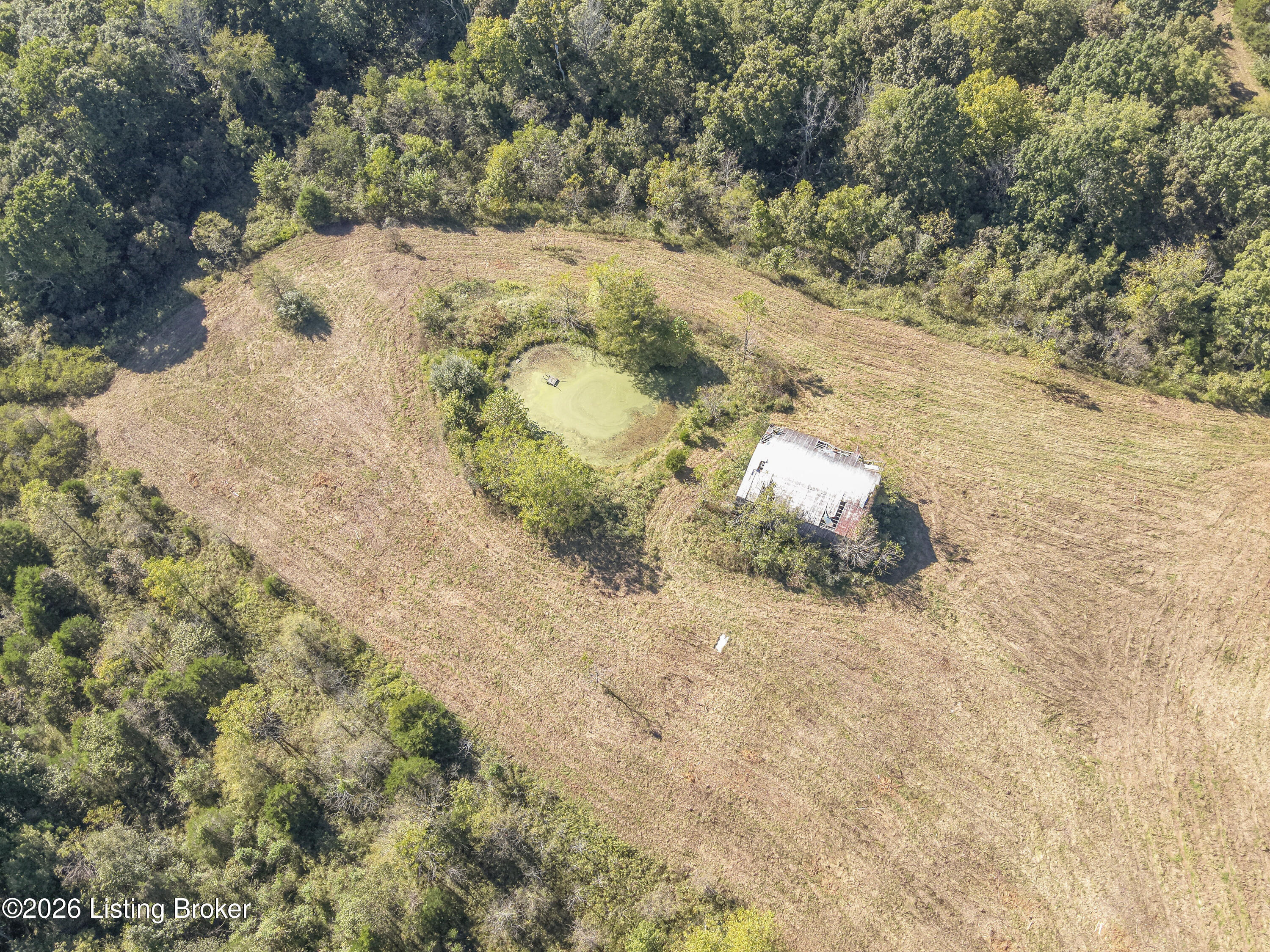 98 Namon Chesser Ln Property Photo 11