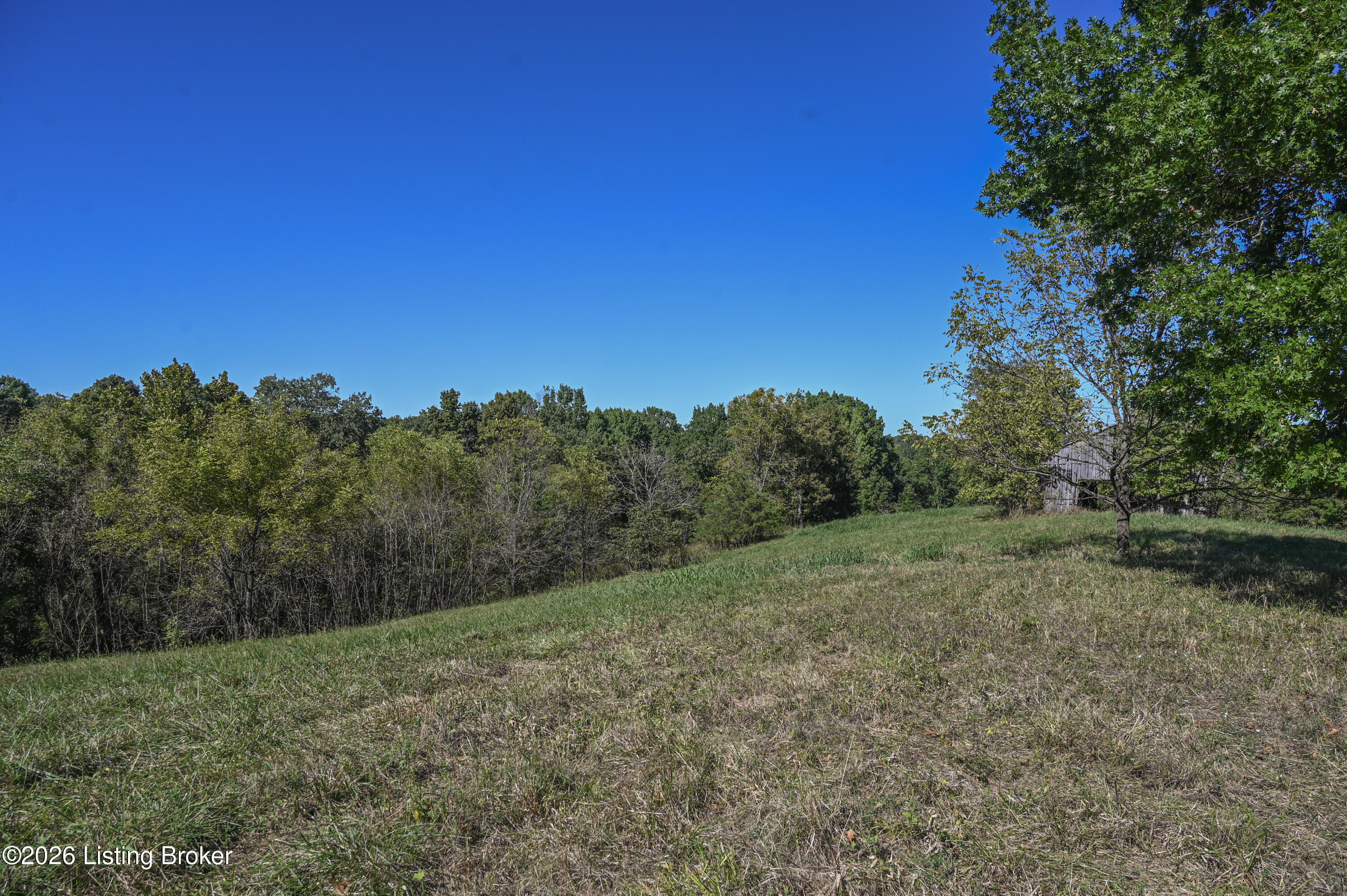 98 Namon Chesser Ln Property Photo 13