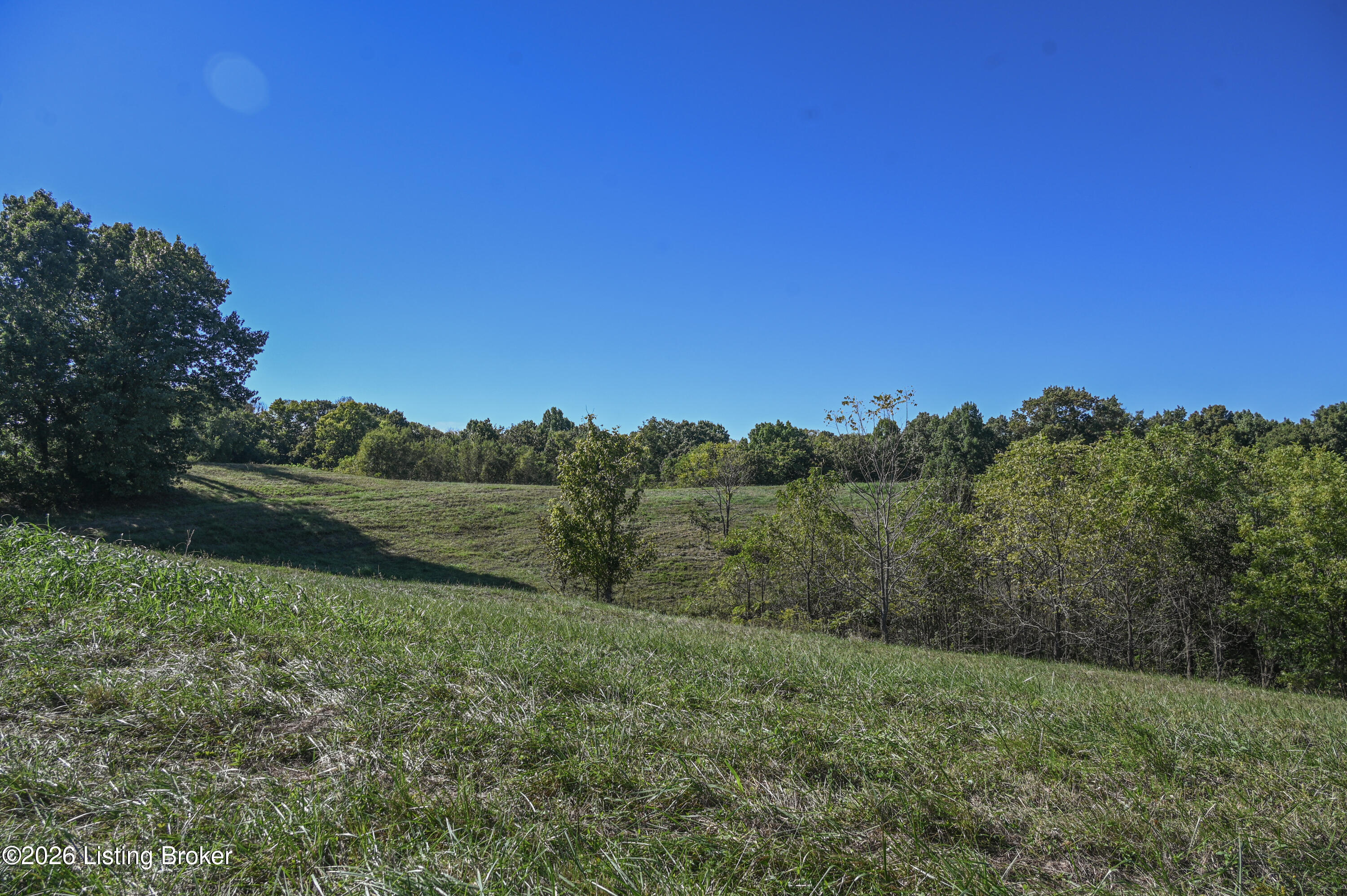 98 Namon Chesser Ln Property Photo 15