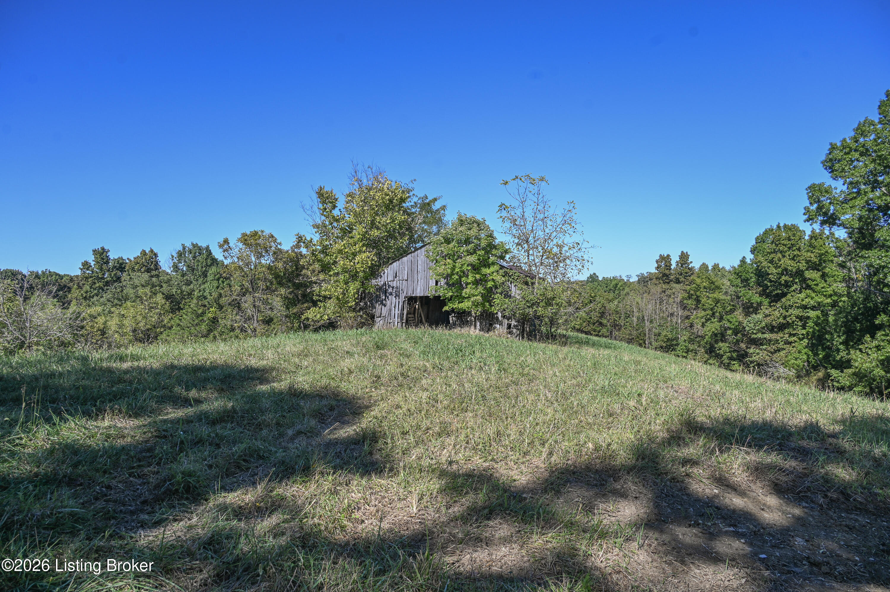 98 Namon Chesser Ln Property Photo 17