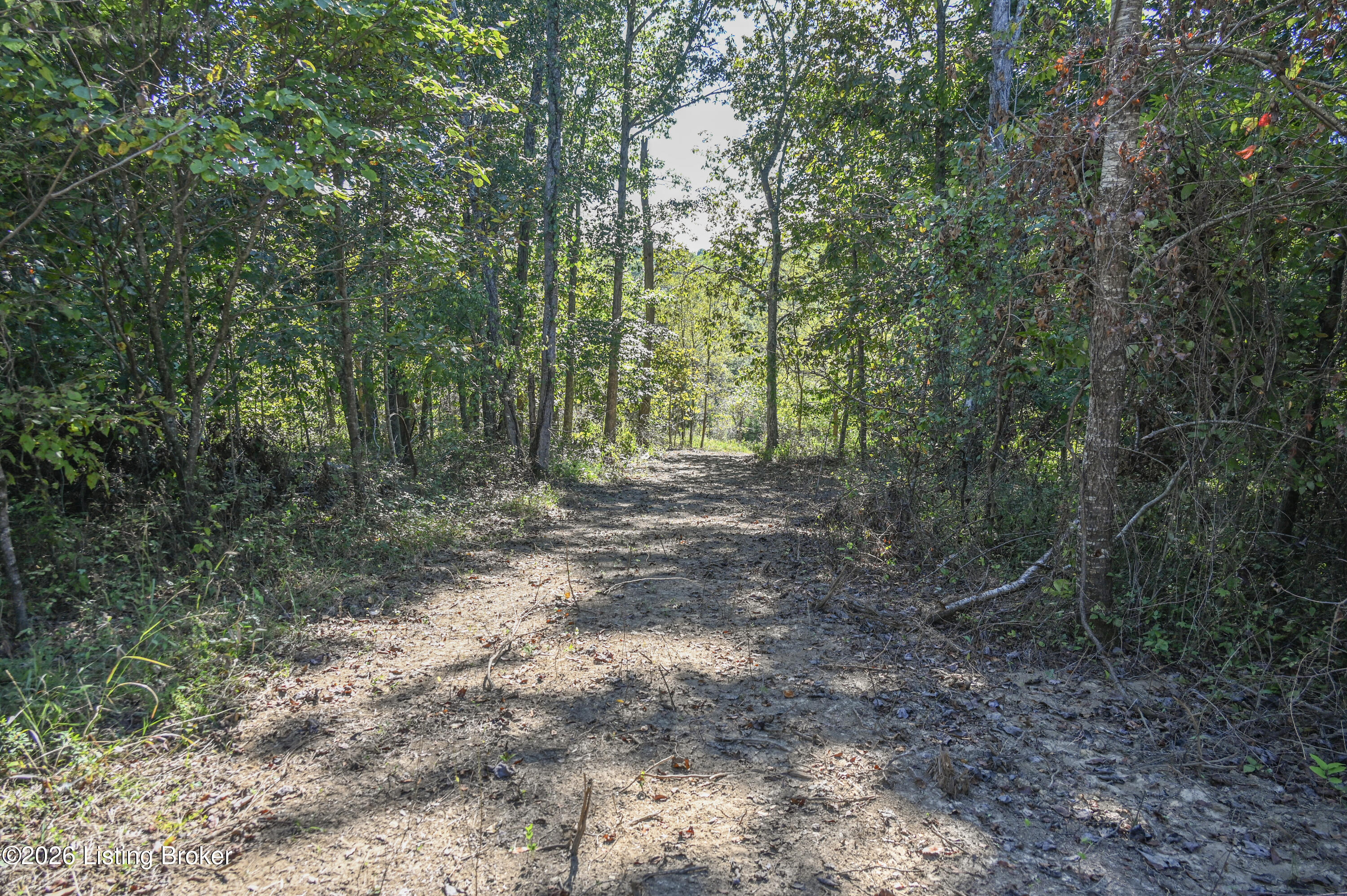98 Namon Chesser Ln Property Photo 19