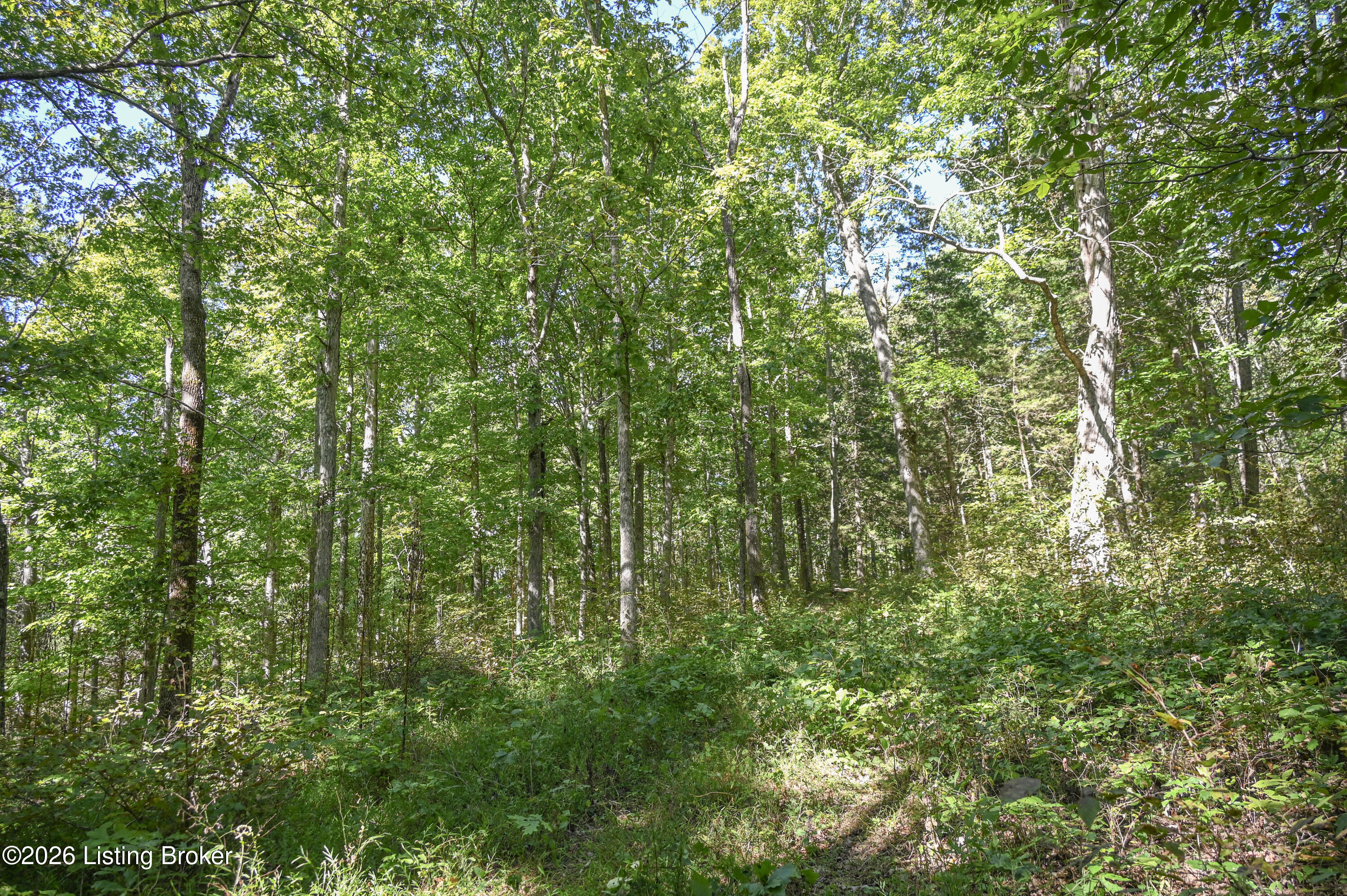 98 Namon Chesser Ln Property Photo 23