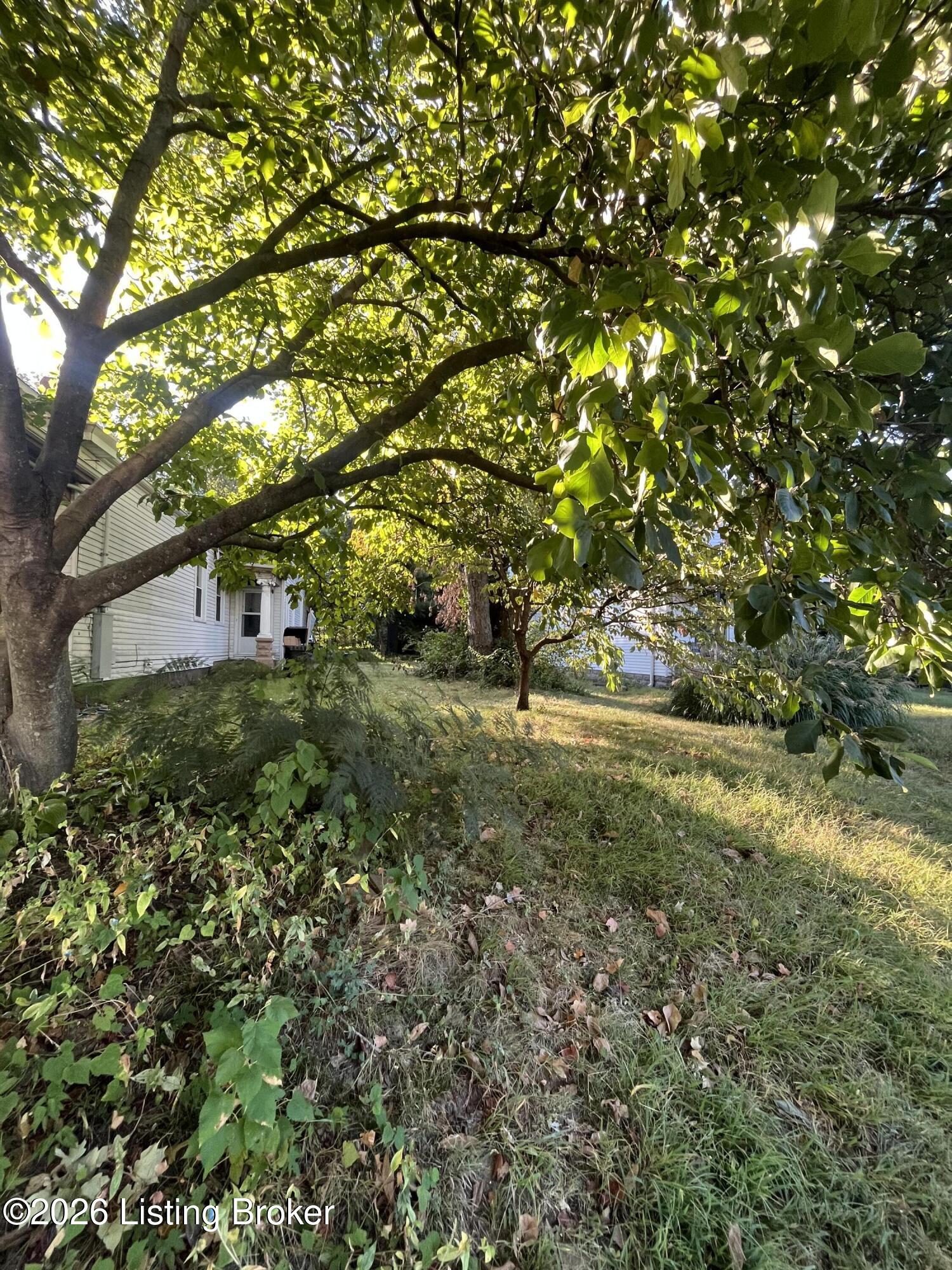 1513 Texas Ave Property Photo 2