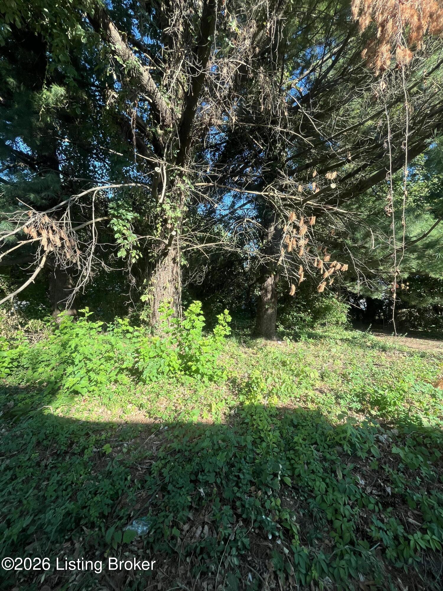 1513 Texas Ave Property Photo 3