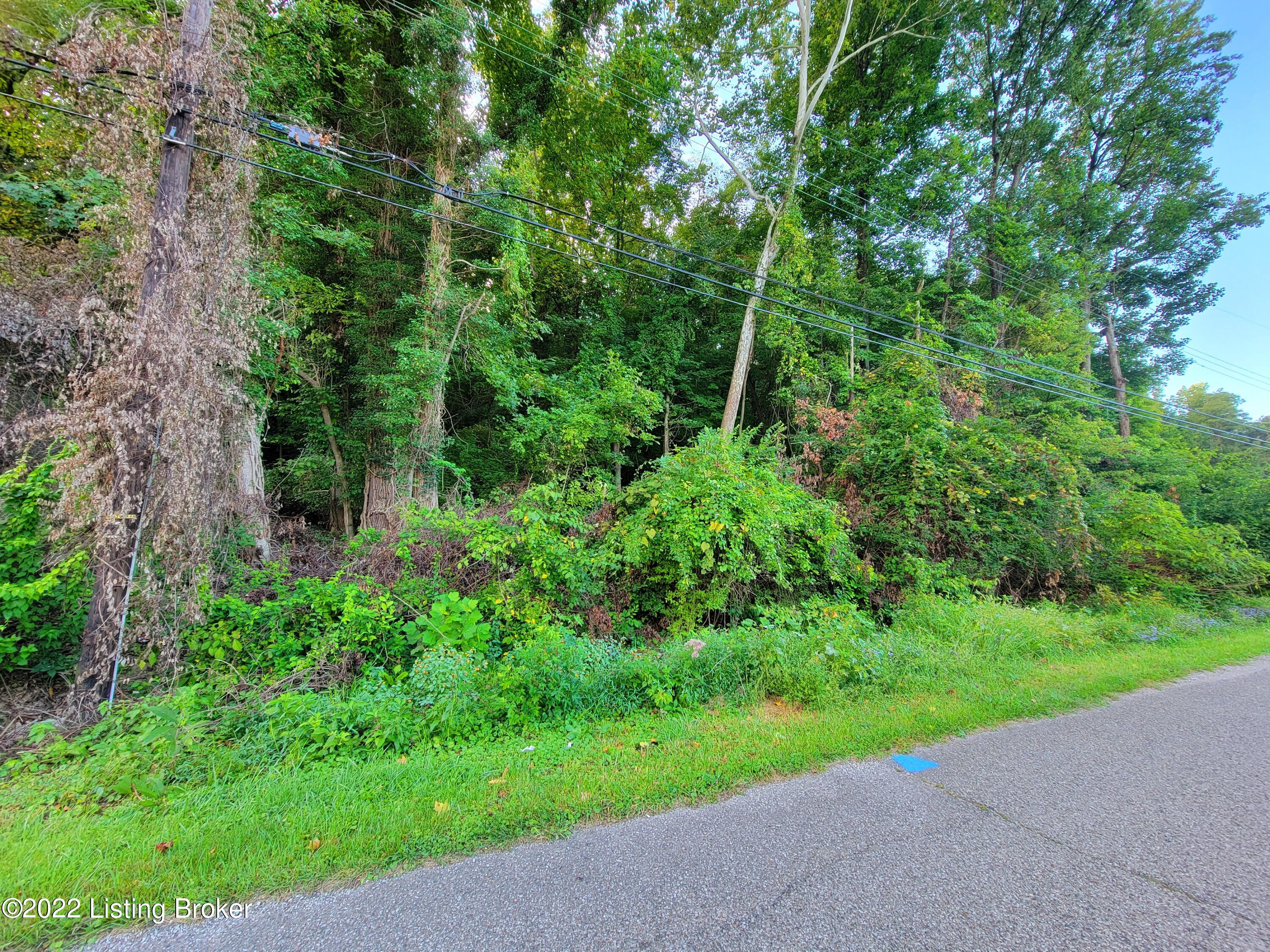 6505 Oak Valley Dr Property Photo 2