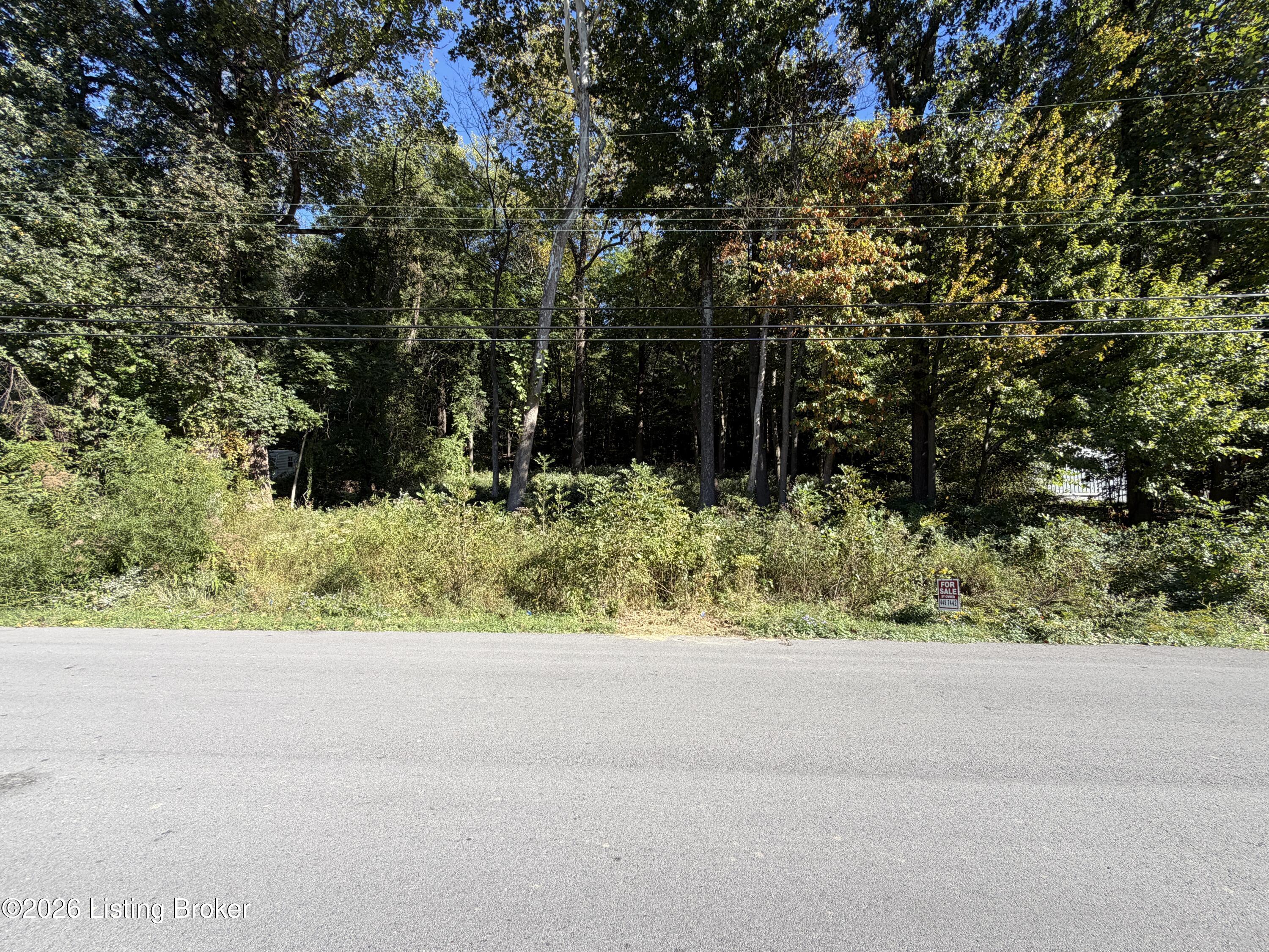 6505 Oak Valley Dr Property Photo 5