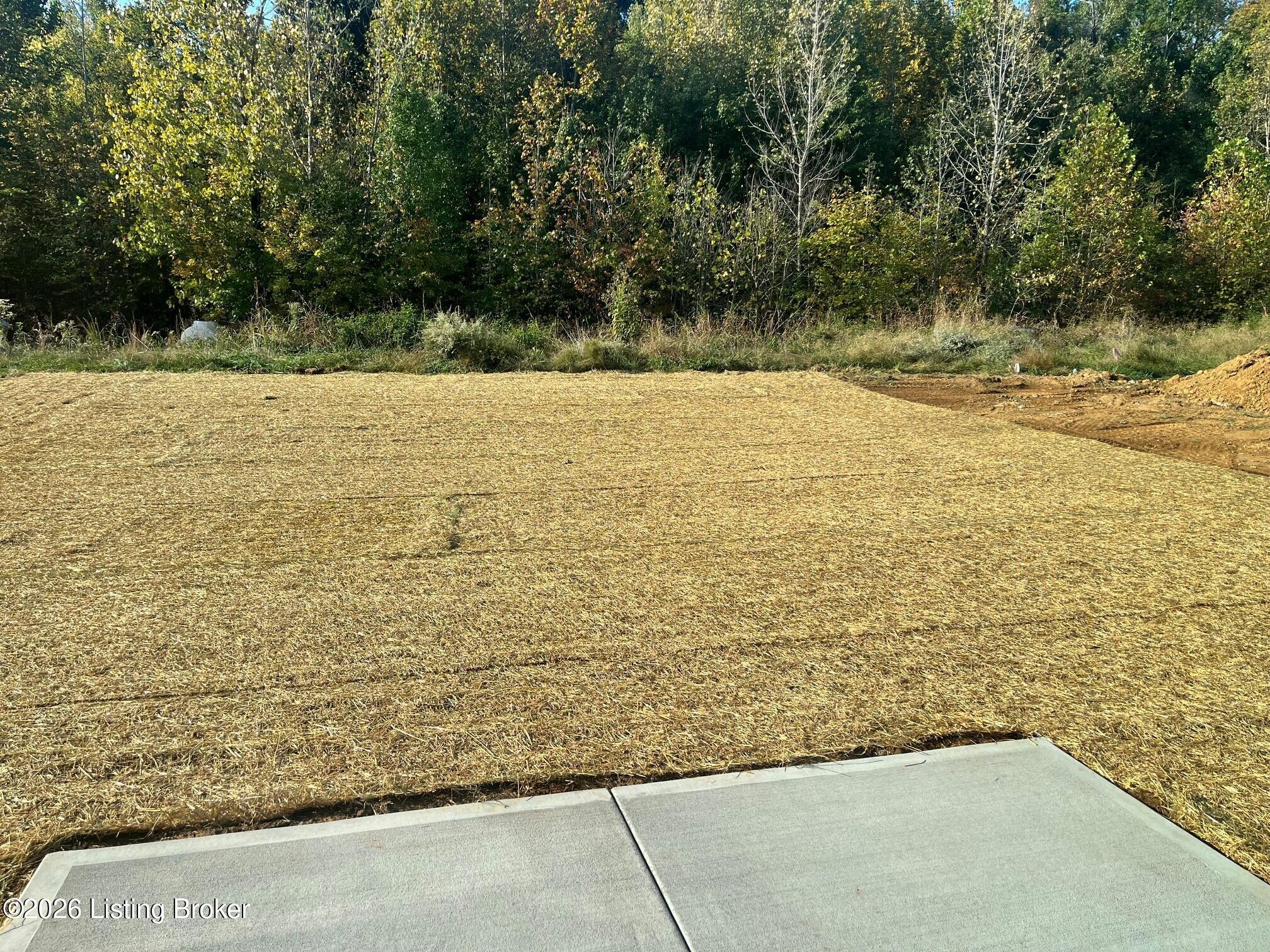 8402 Hollis Vw Way Property Photo 4
