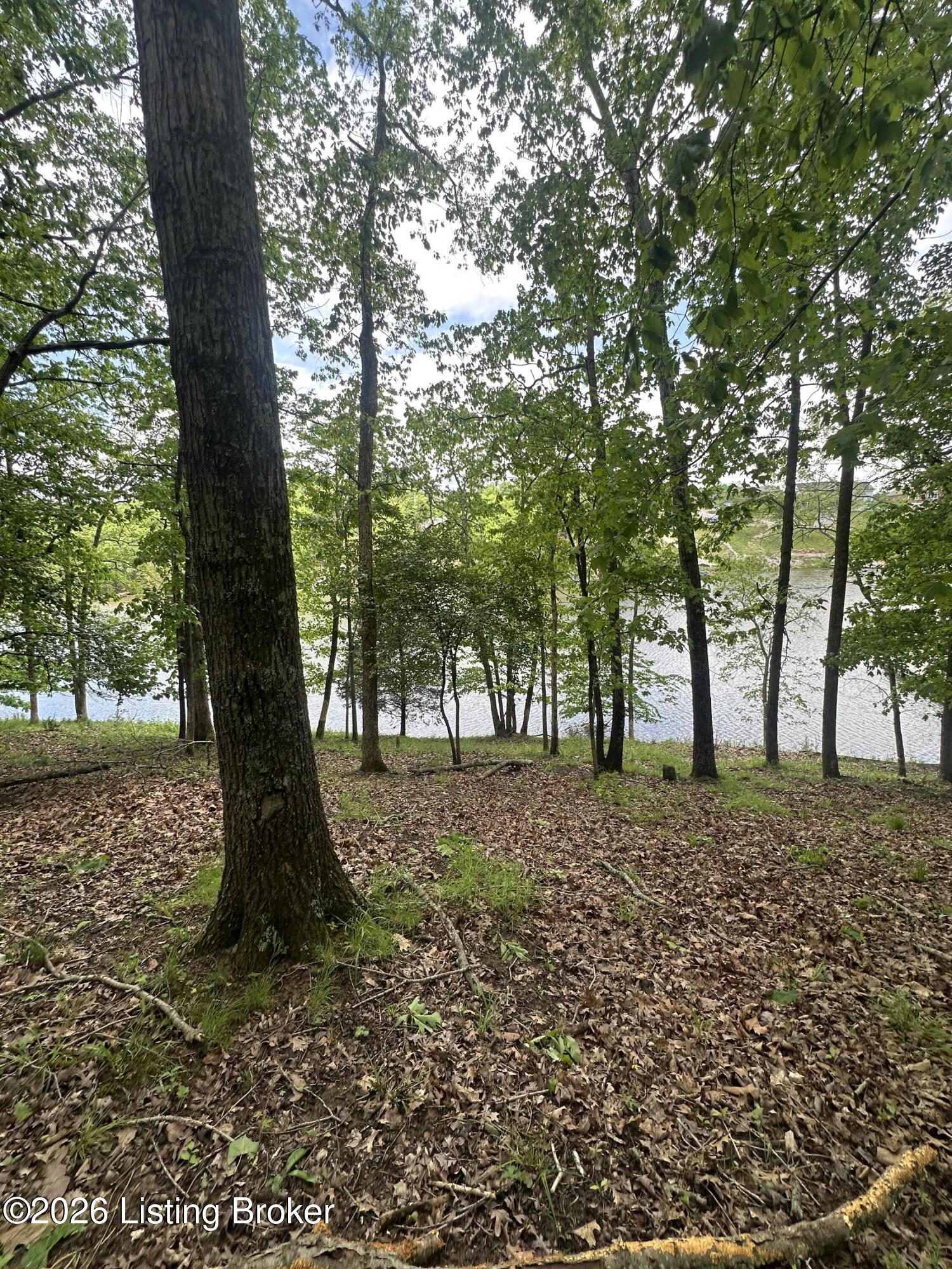 1 Lakeshore Pkwy Property Photo 2