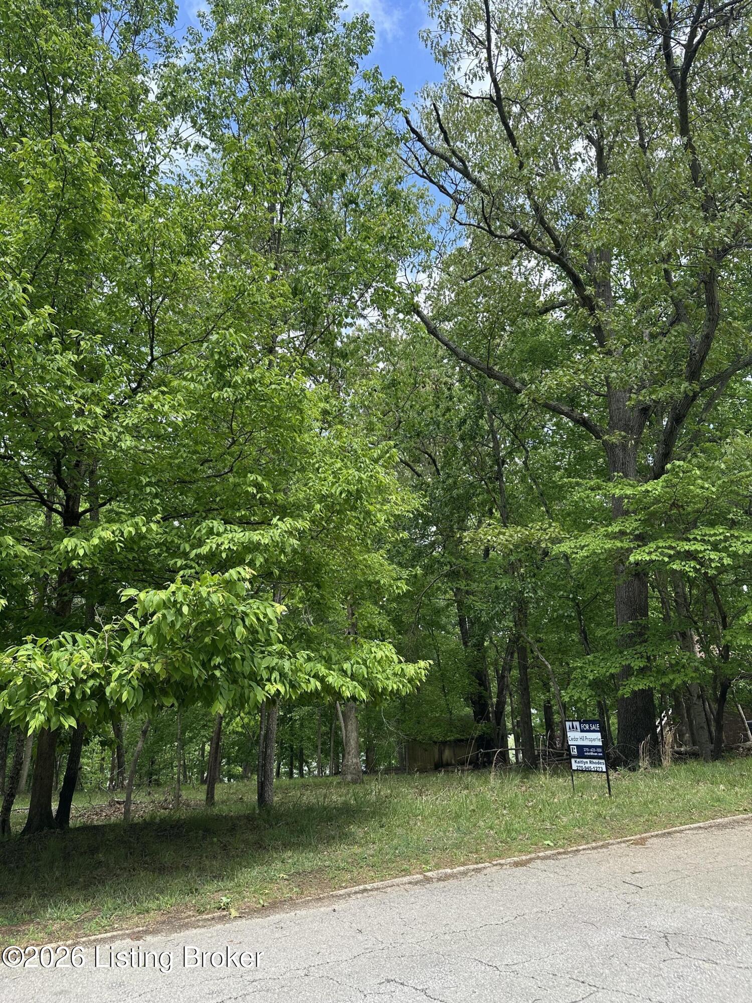 1 Lakeshore Pkwy Property Photo 3