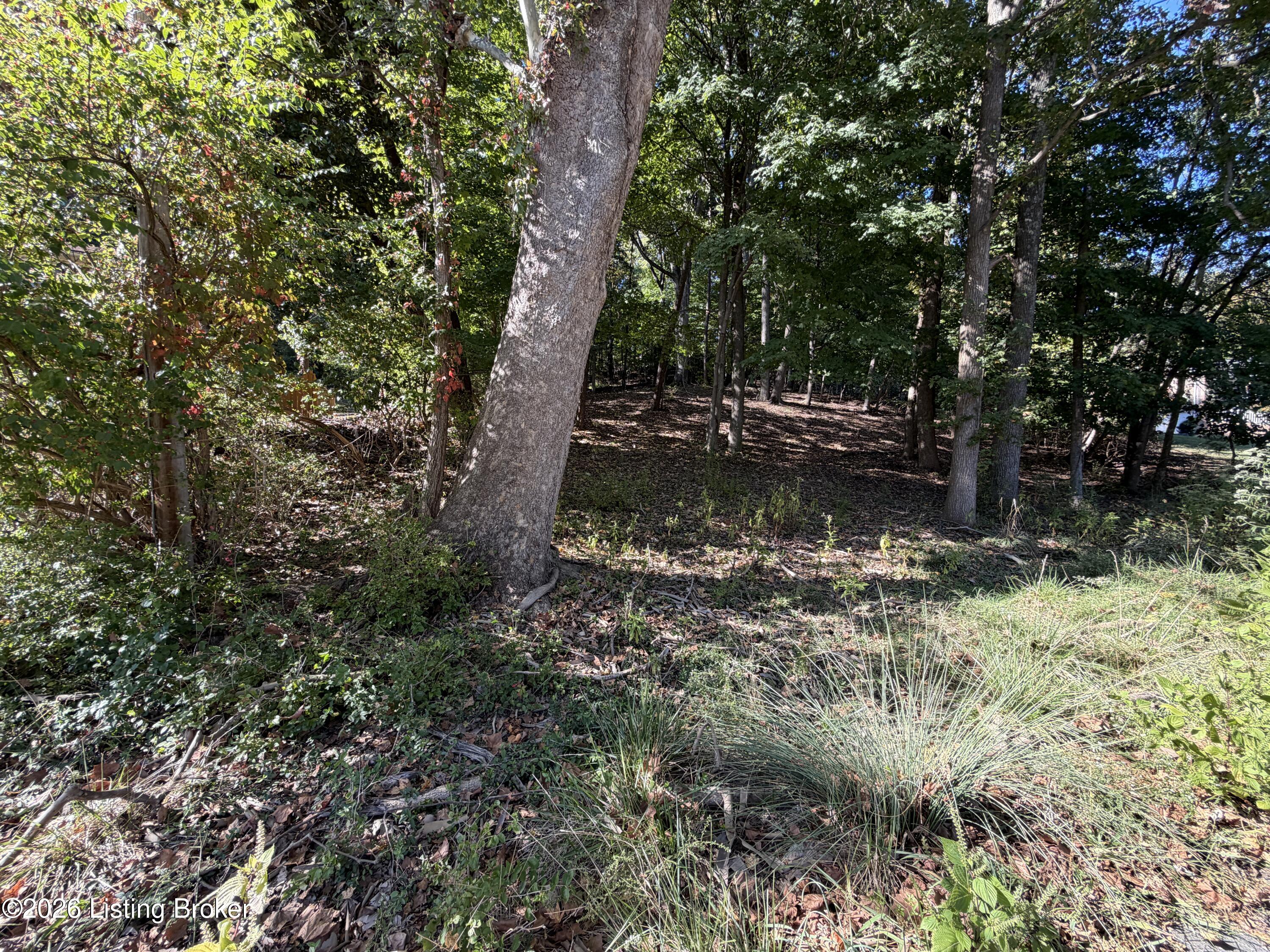 6302 Oak Valley Dr Property Photo 5