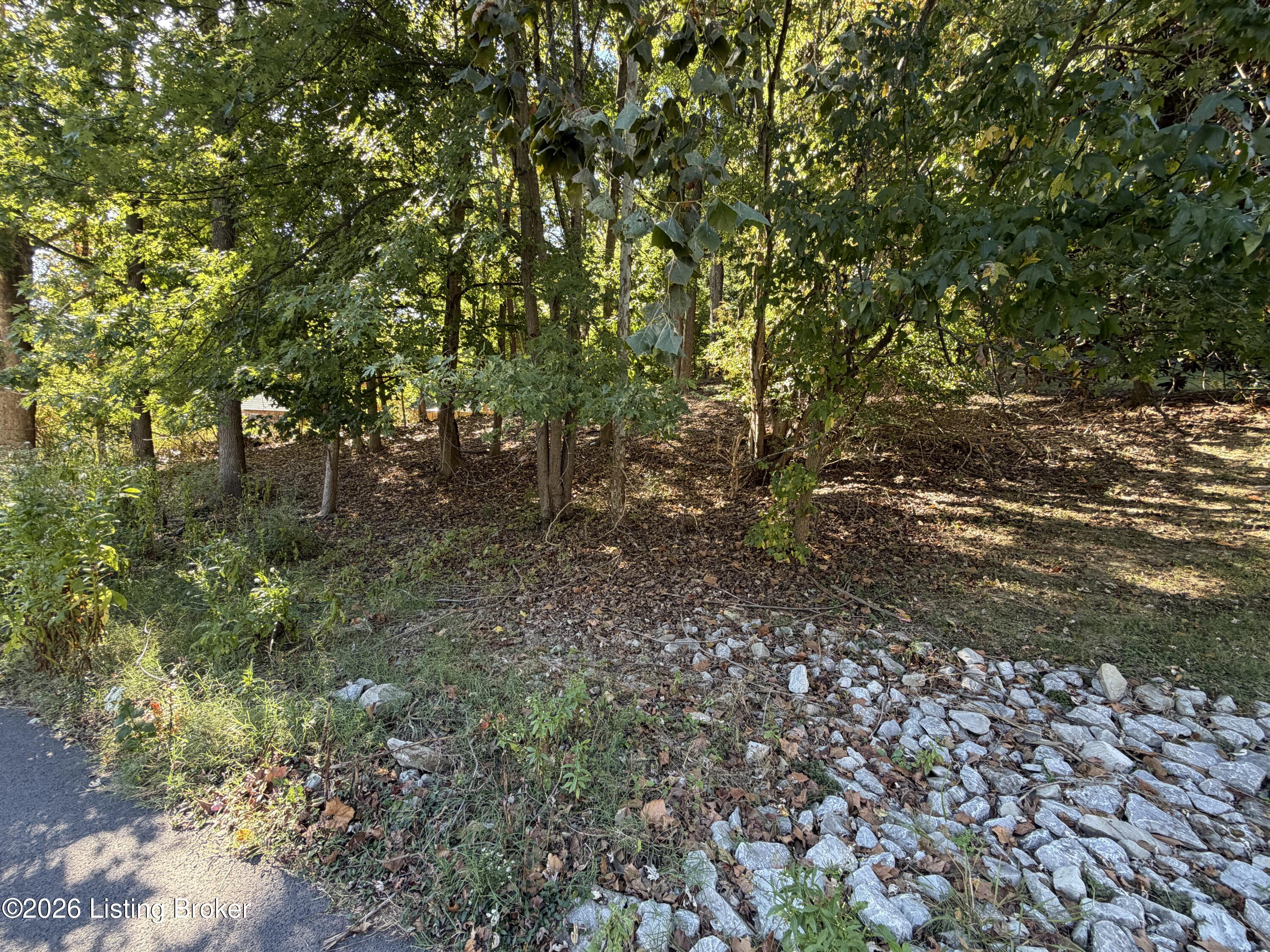 6302 Oak Valley Dr Property Photo 6