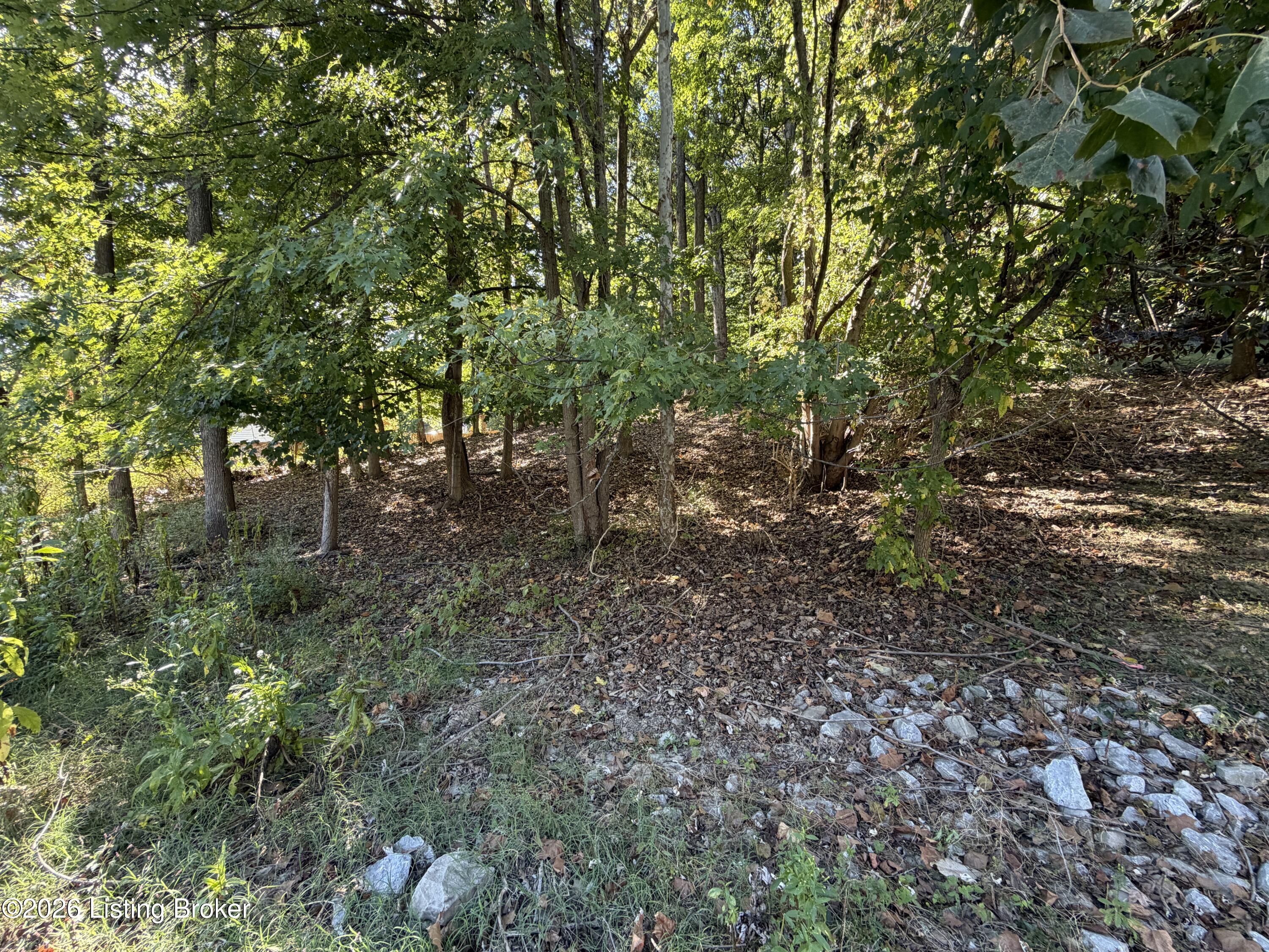 6302 Oak Valley Dr Property Photo 7