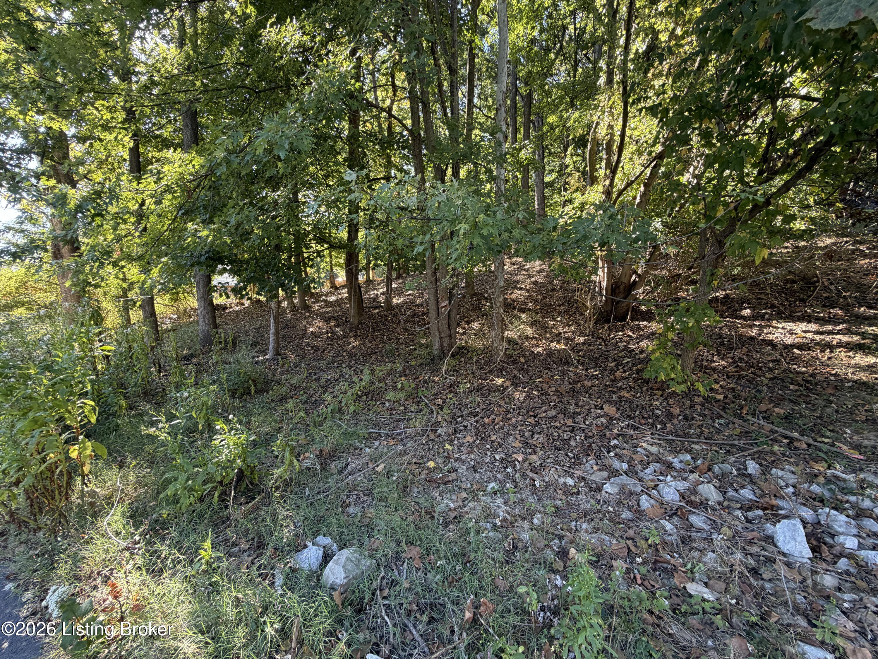 6302 Oak Valley Dr Property Photo 8