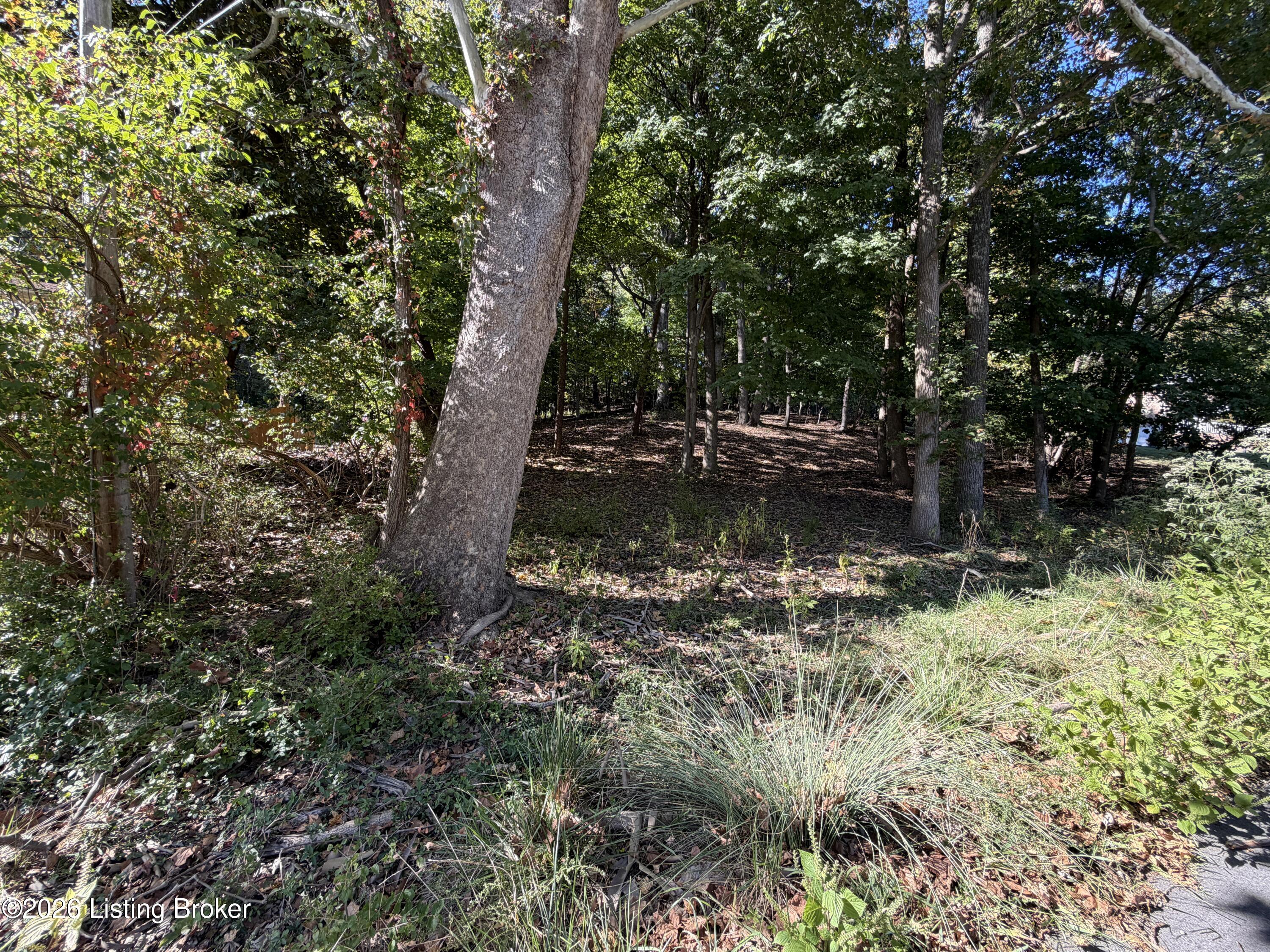 6302 Oak Valley Dr Property Photo 9