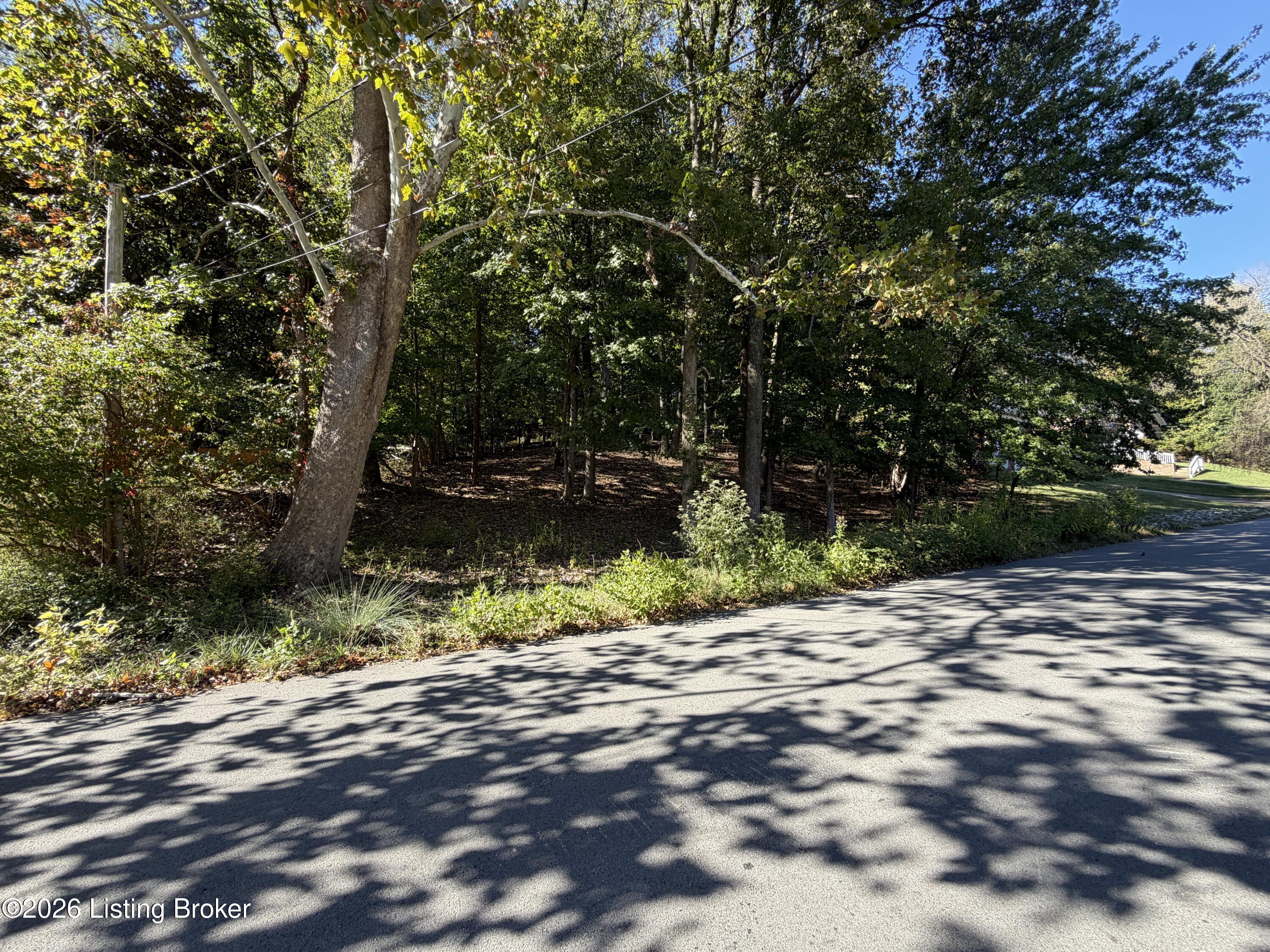 6302 Oak Valley Dr Property Photo 10