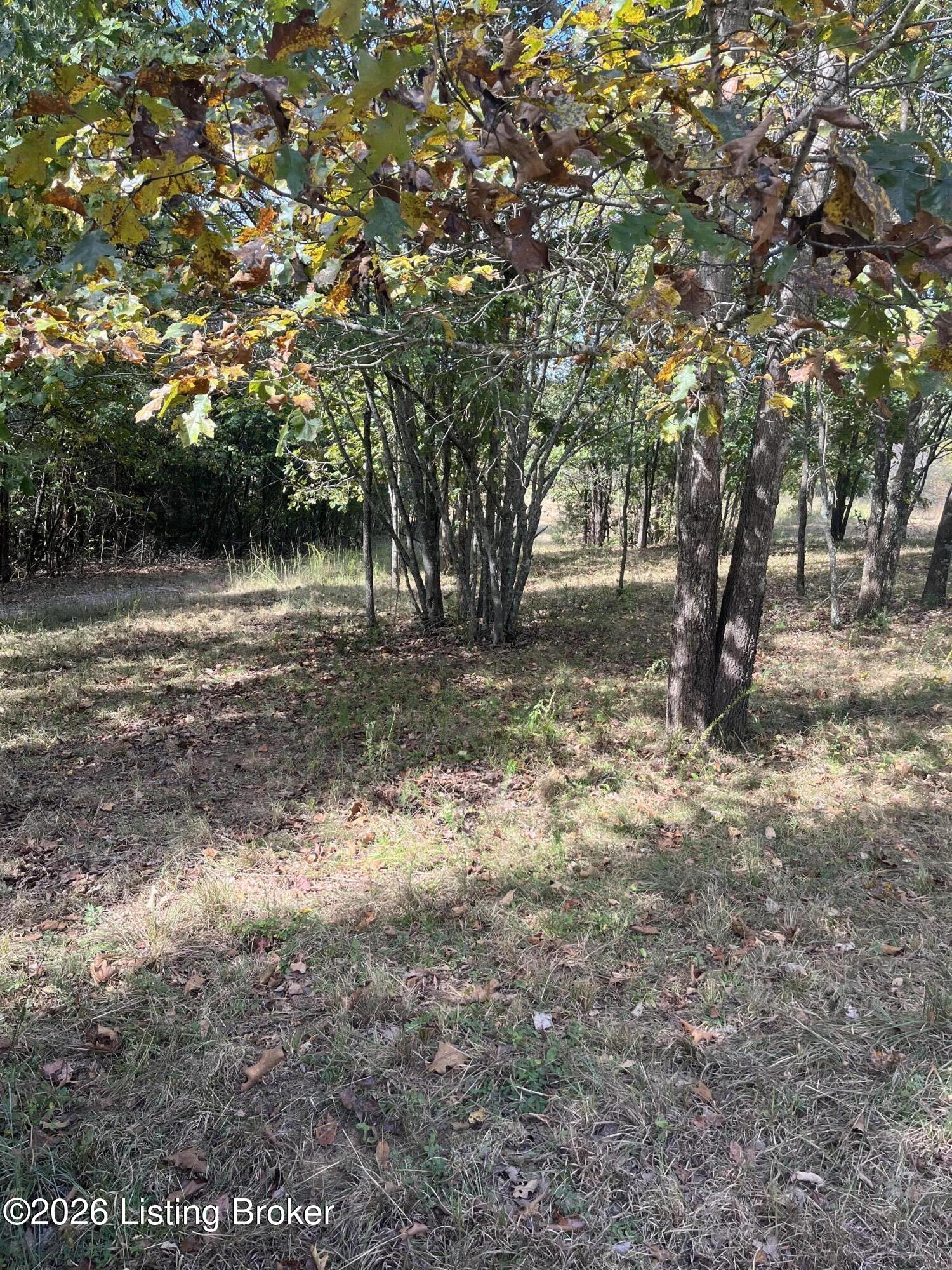 1234 Blain Cannon Dr Property Photo 1
