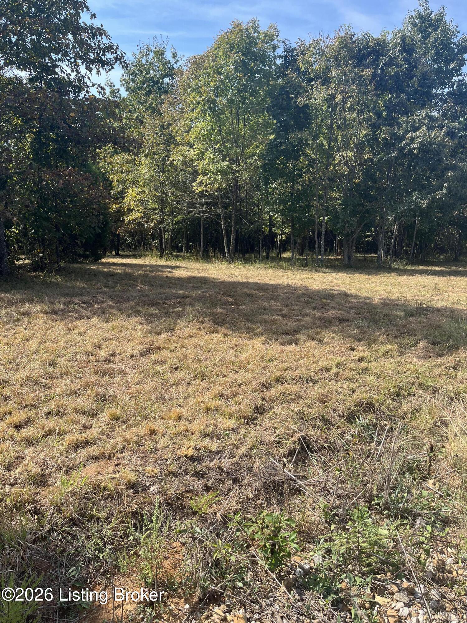 1234 Blain Cannon Dr Property Photo 2