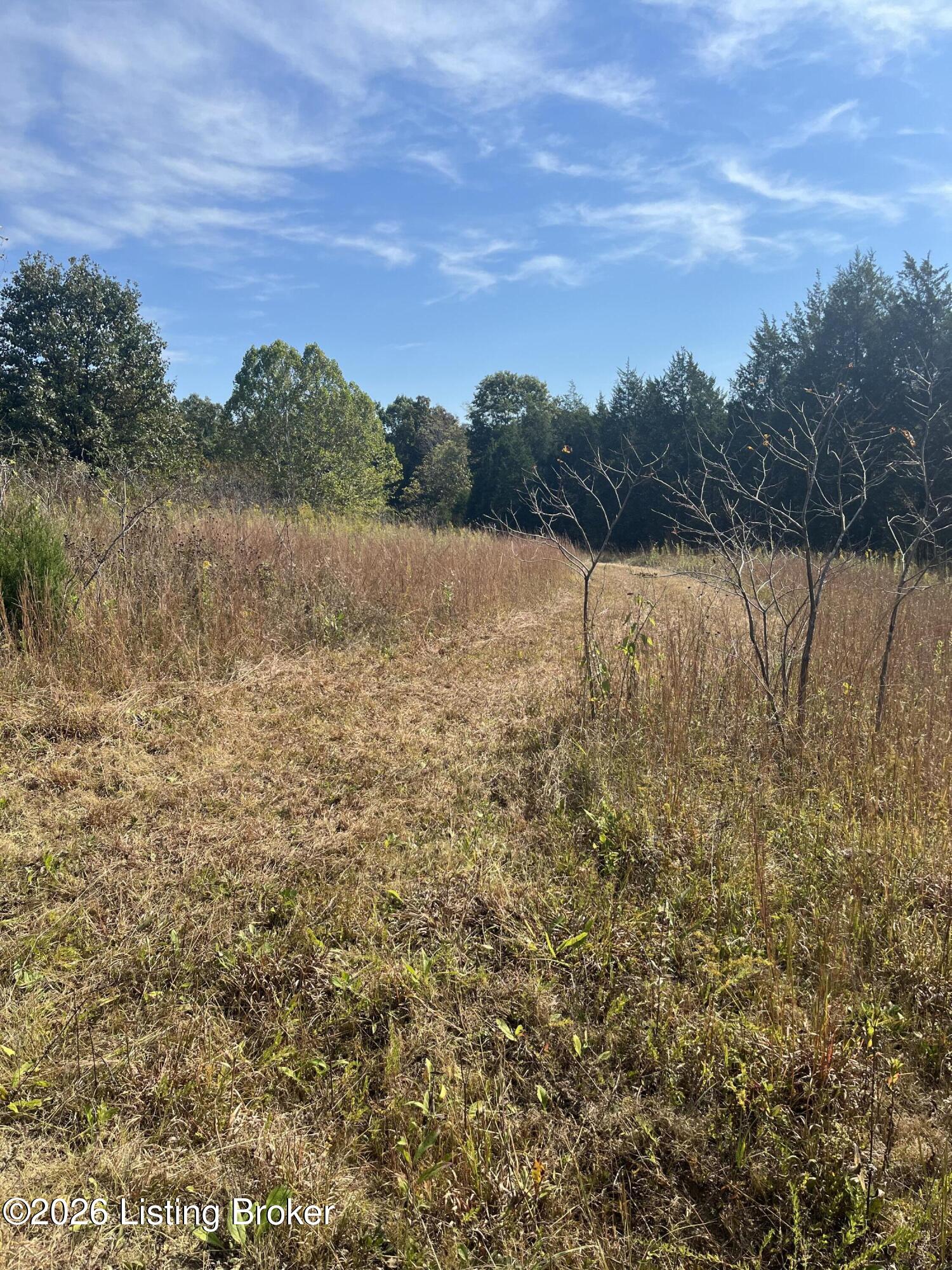 1234 Blain Cannon Dr Property Photo 10