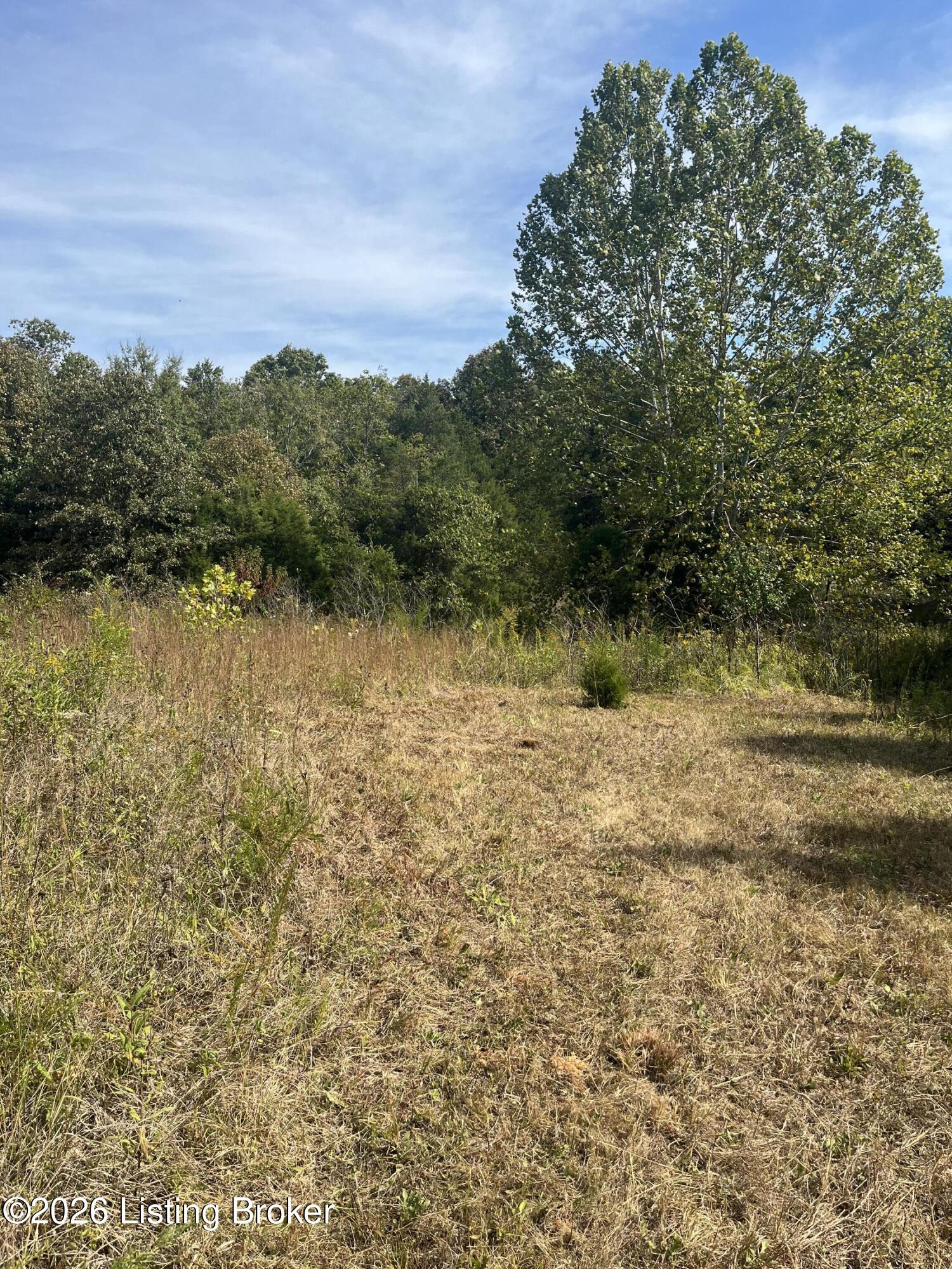 1234 Blain Cannon Dr Property Photo 11