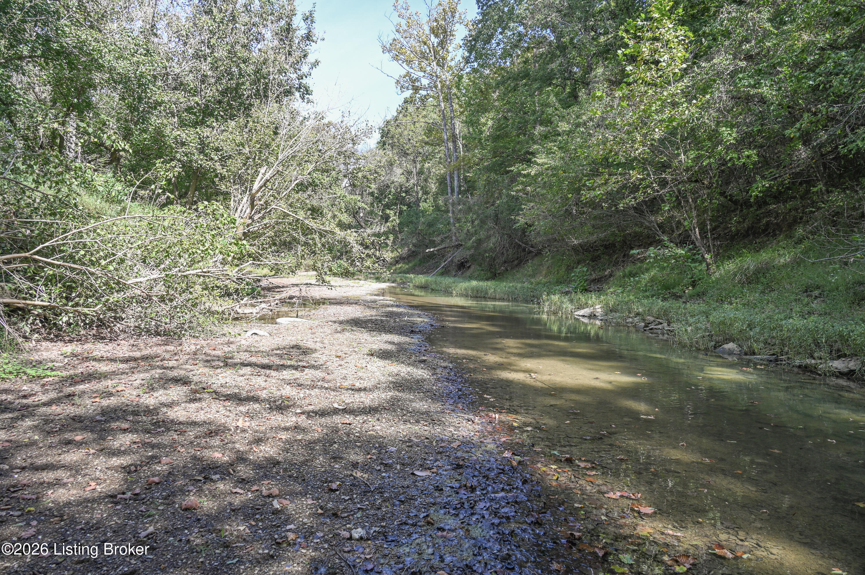 1925 Tick Creek Rd Property Photo 5