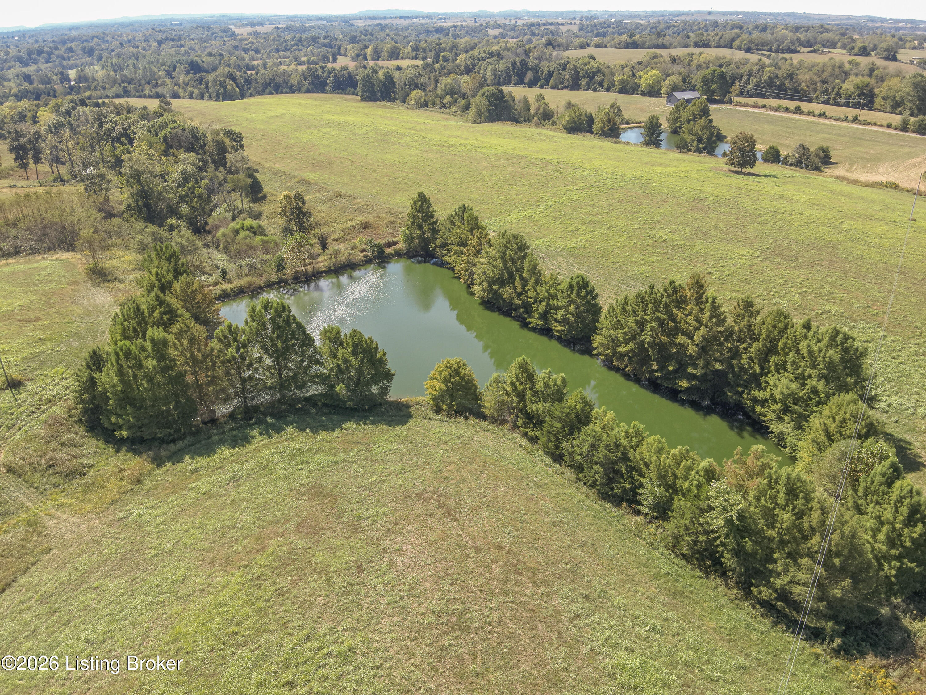 1925 Tick Creek Rd Property Photo 6