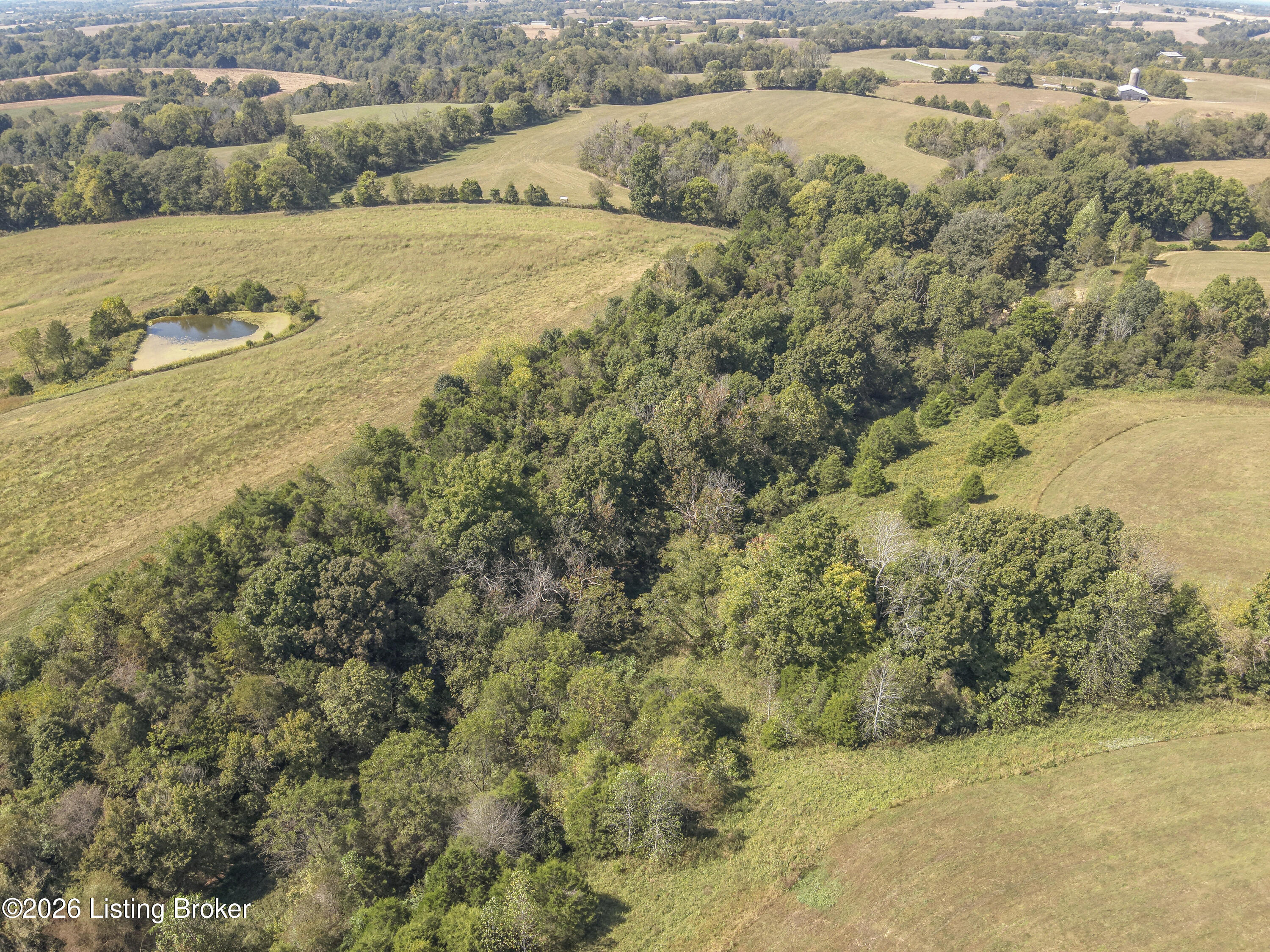 1925 Tick Creek Rd Property Photo 13
