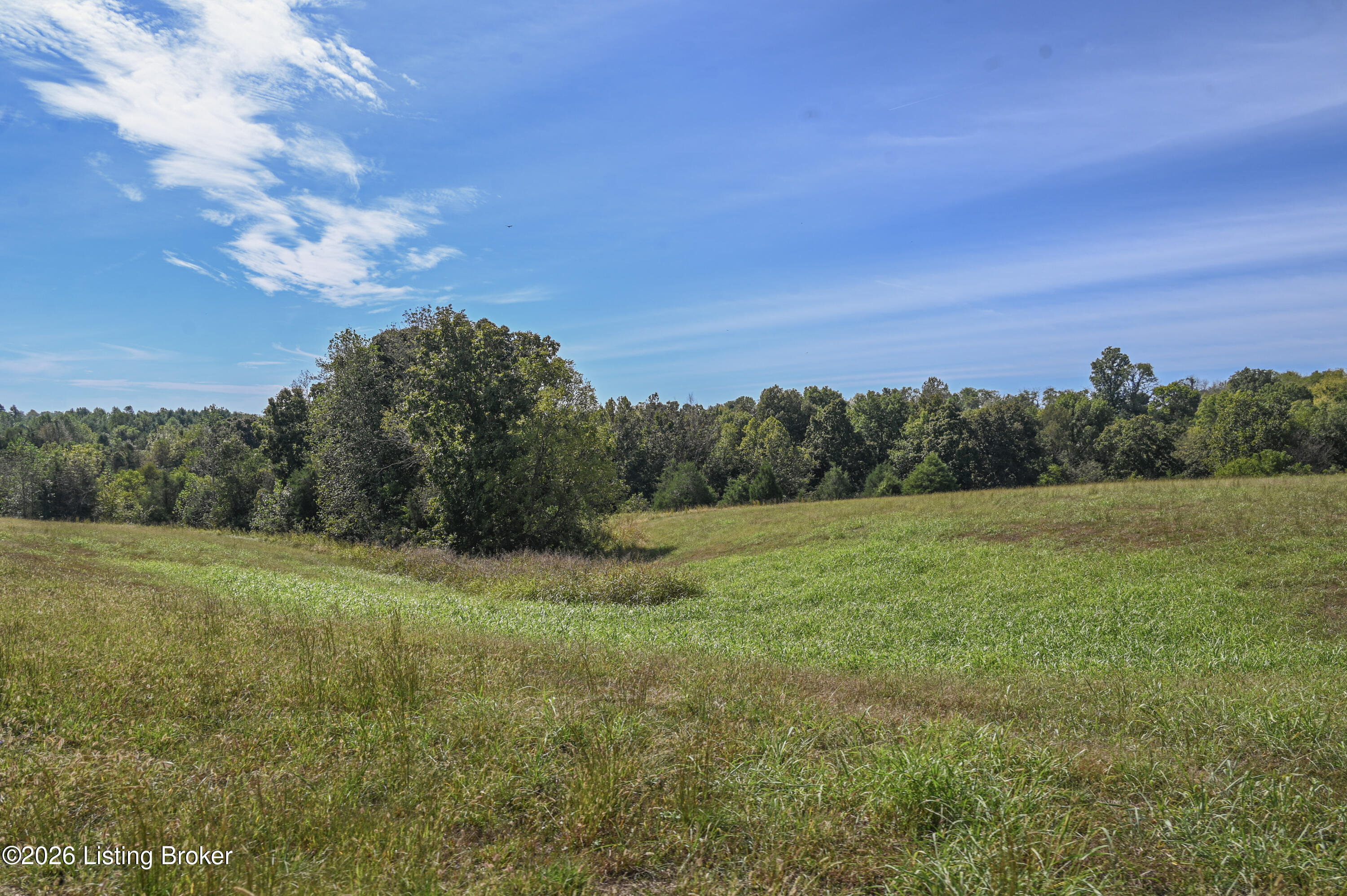 1925 Tick Creek Rd Property Photo 22