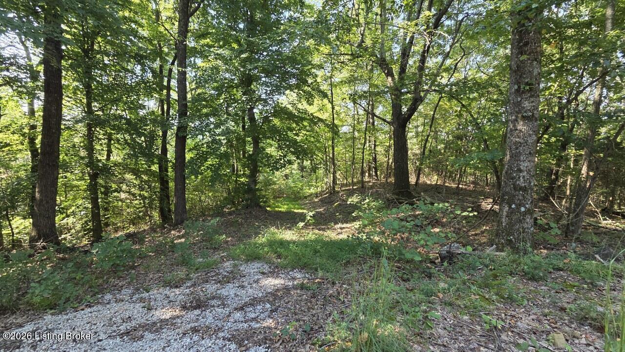 0 Falling Springs Church Road Rd Property Photo 14