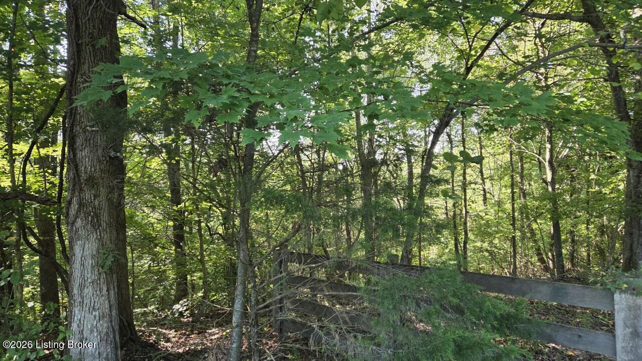 0 Falling Springs Church Road Rd Property Photo 18