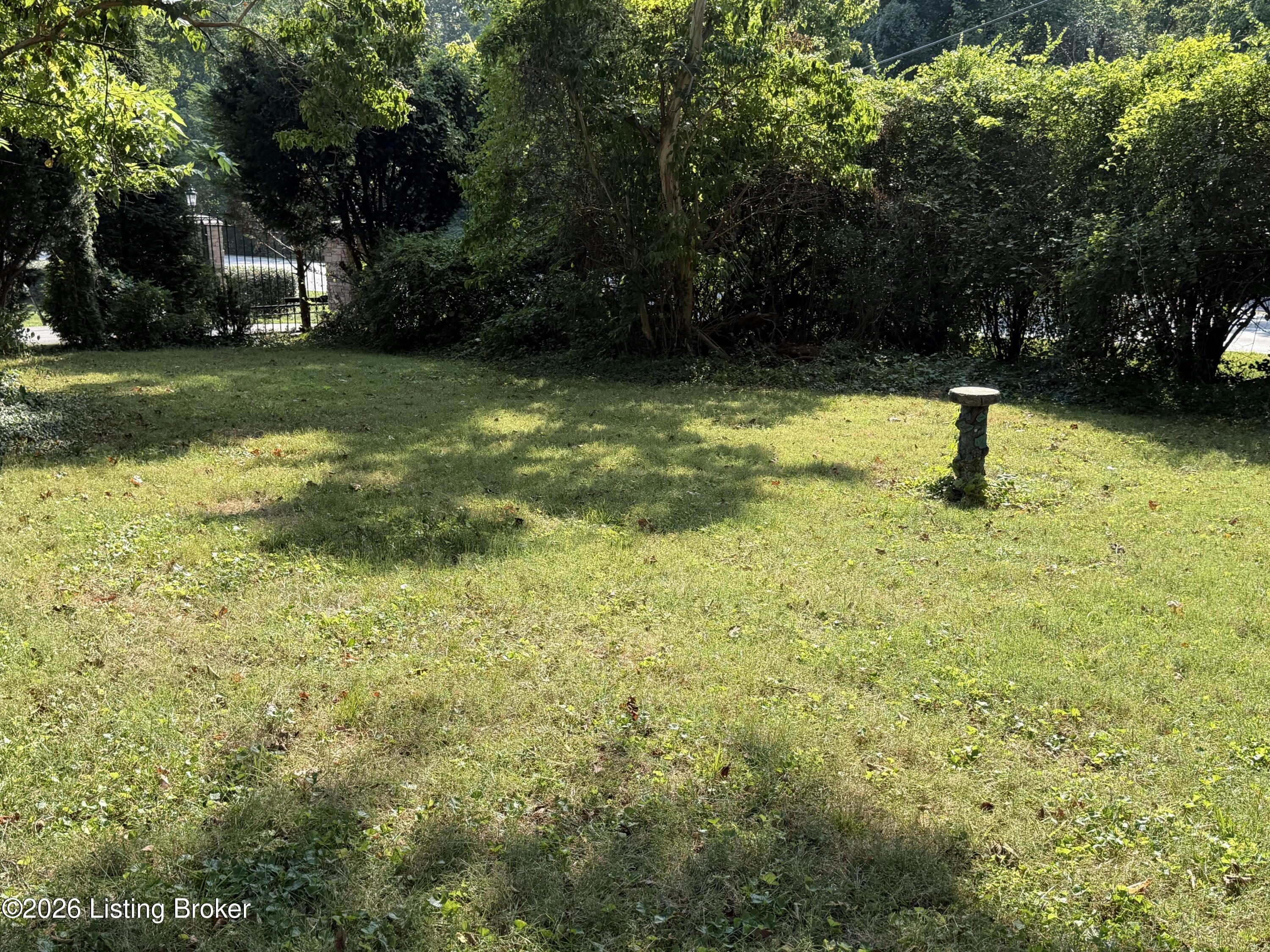 4103 Brownsboro Rd Property Photo 14