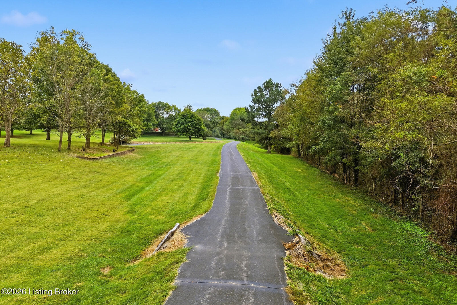519 Fox Run Dr Property Photo 125