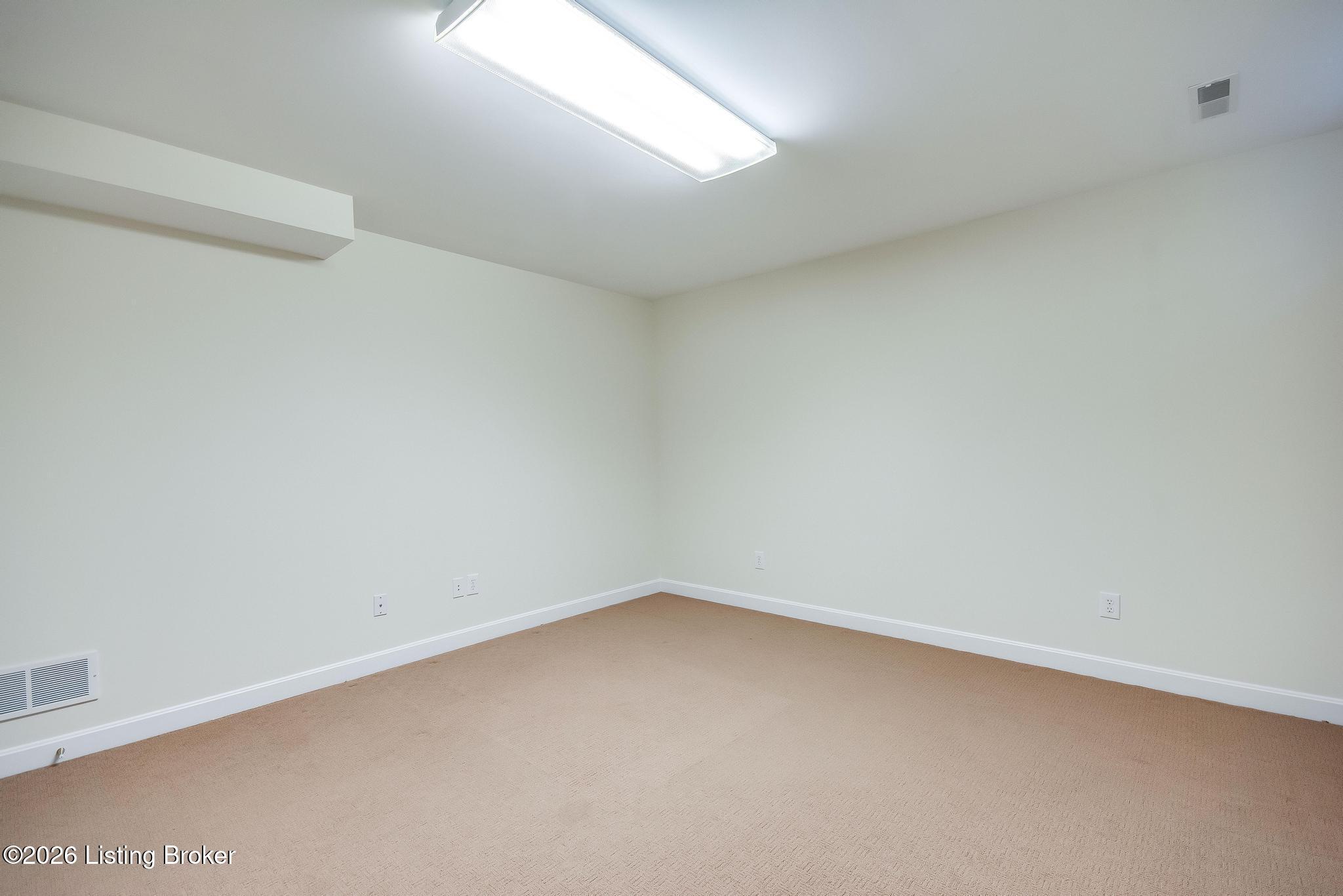 3909 Mulberry Row Way Property Photo 68