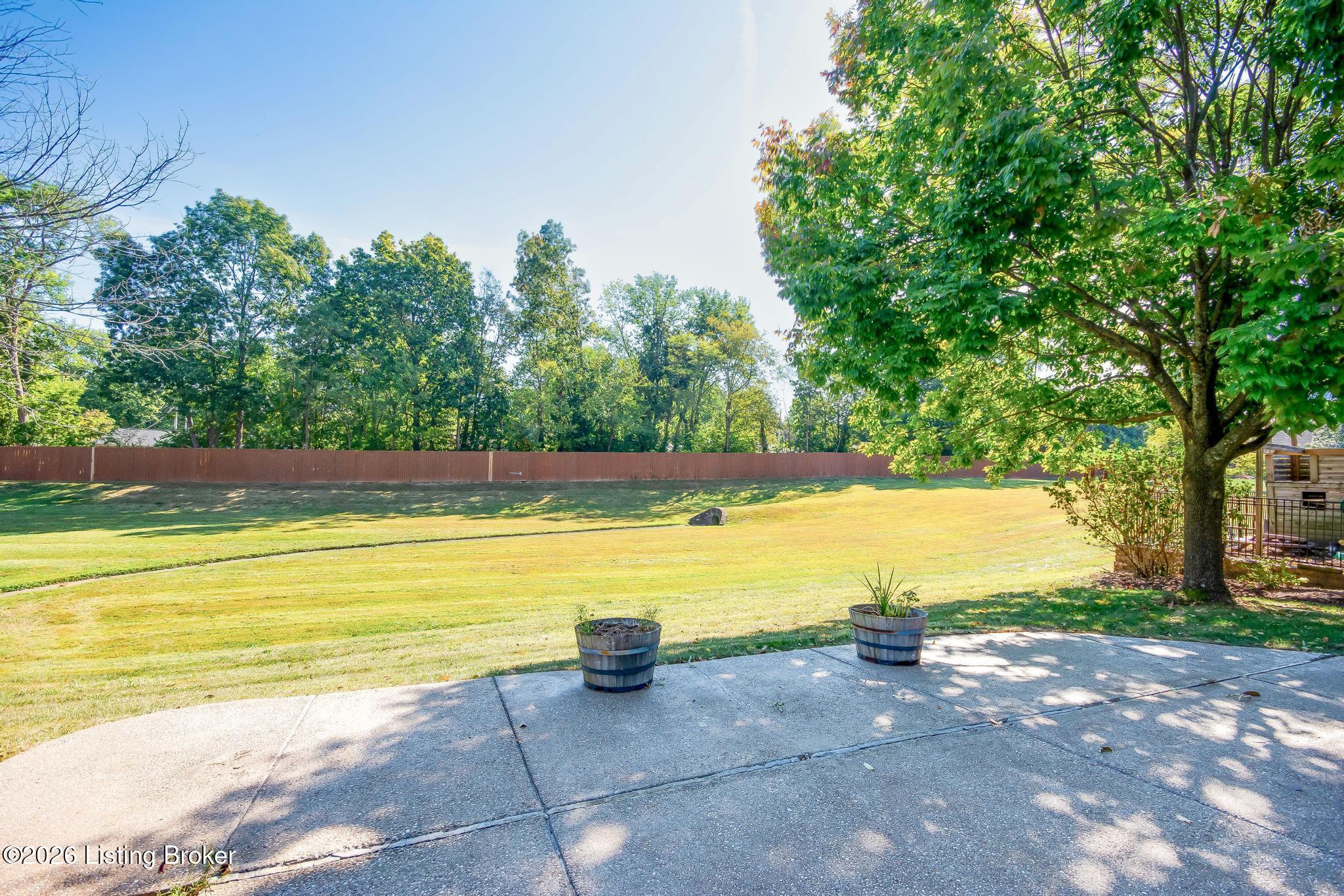 3909 Mulberry Row Way Property Photo 94
