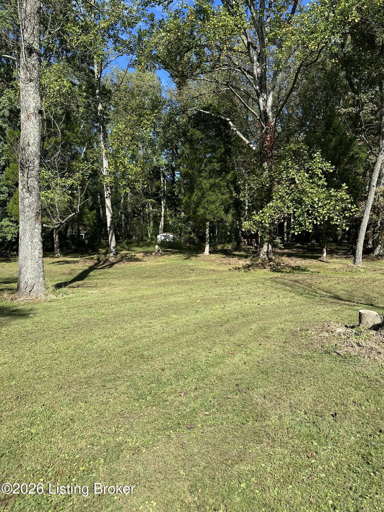 428 Marilyn Way Property Photo 10