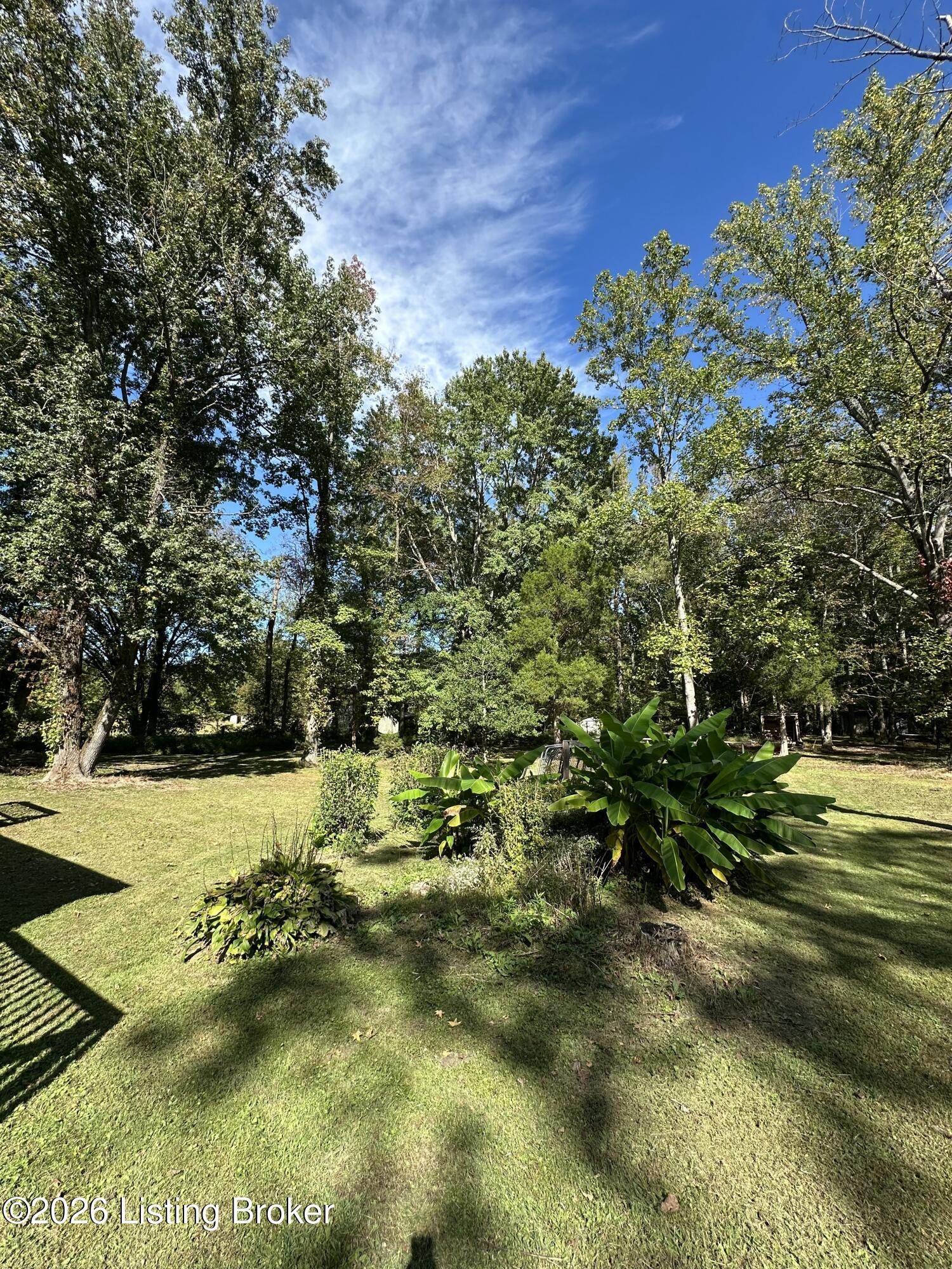428 Marilyn Way Property Photo 13