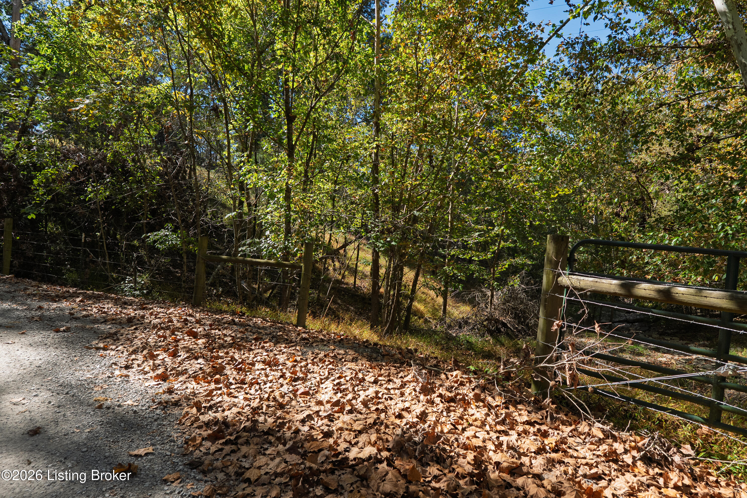 3118 Ky-36 Property Photo 9