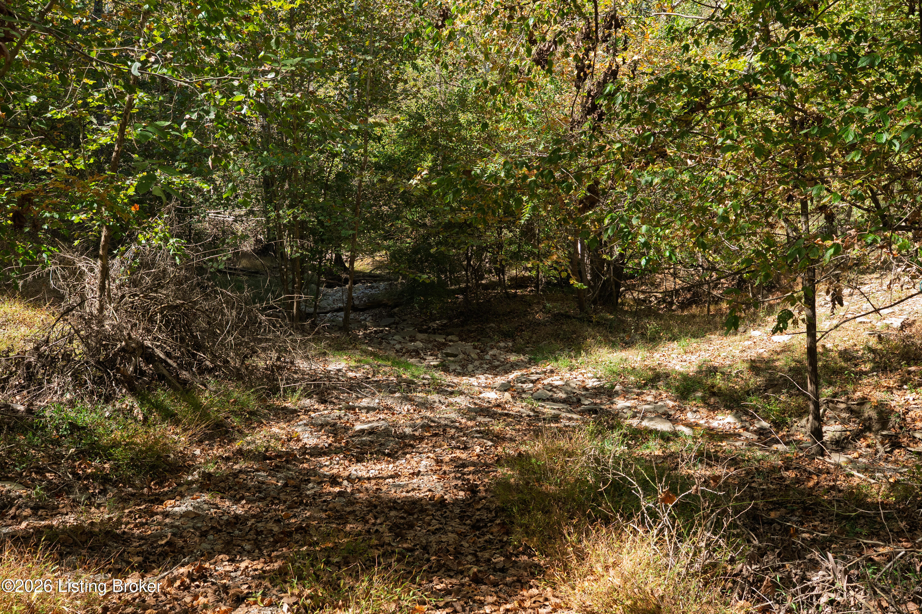 3118 Ky-36 Property Photo 10