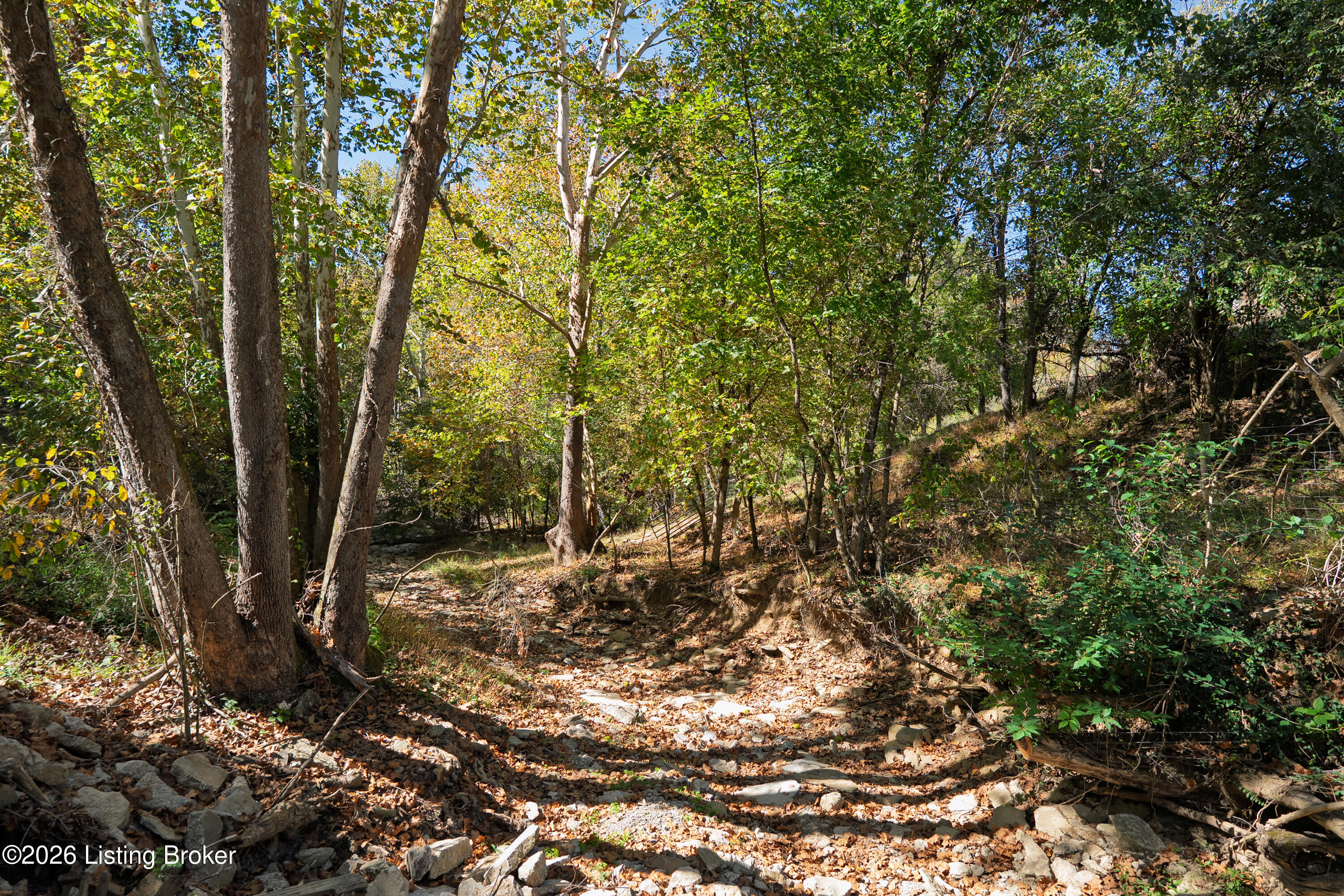 3118 Ky-36 Property Photo 12
