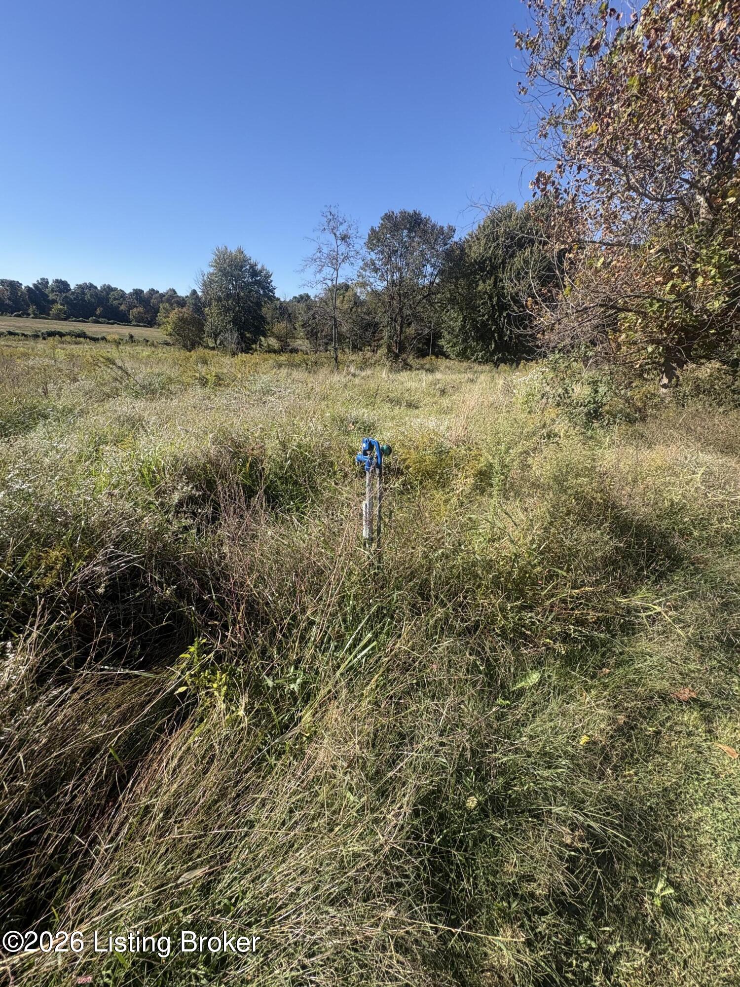 3490 State Hwy 1073 Property Photo 13