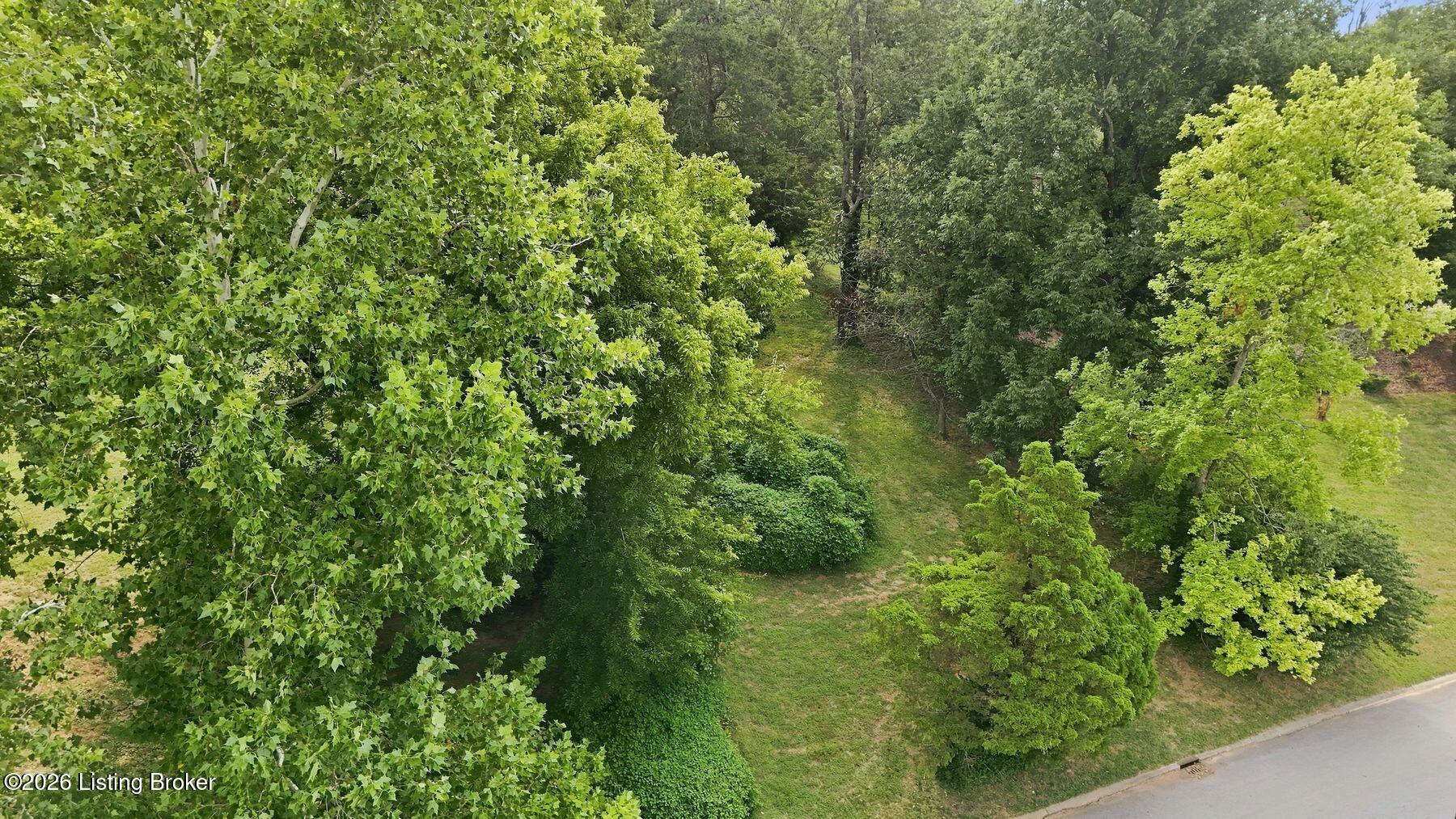 1510 Sylvan Way Property Photo 8